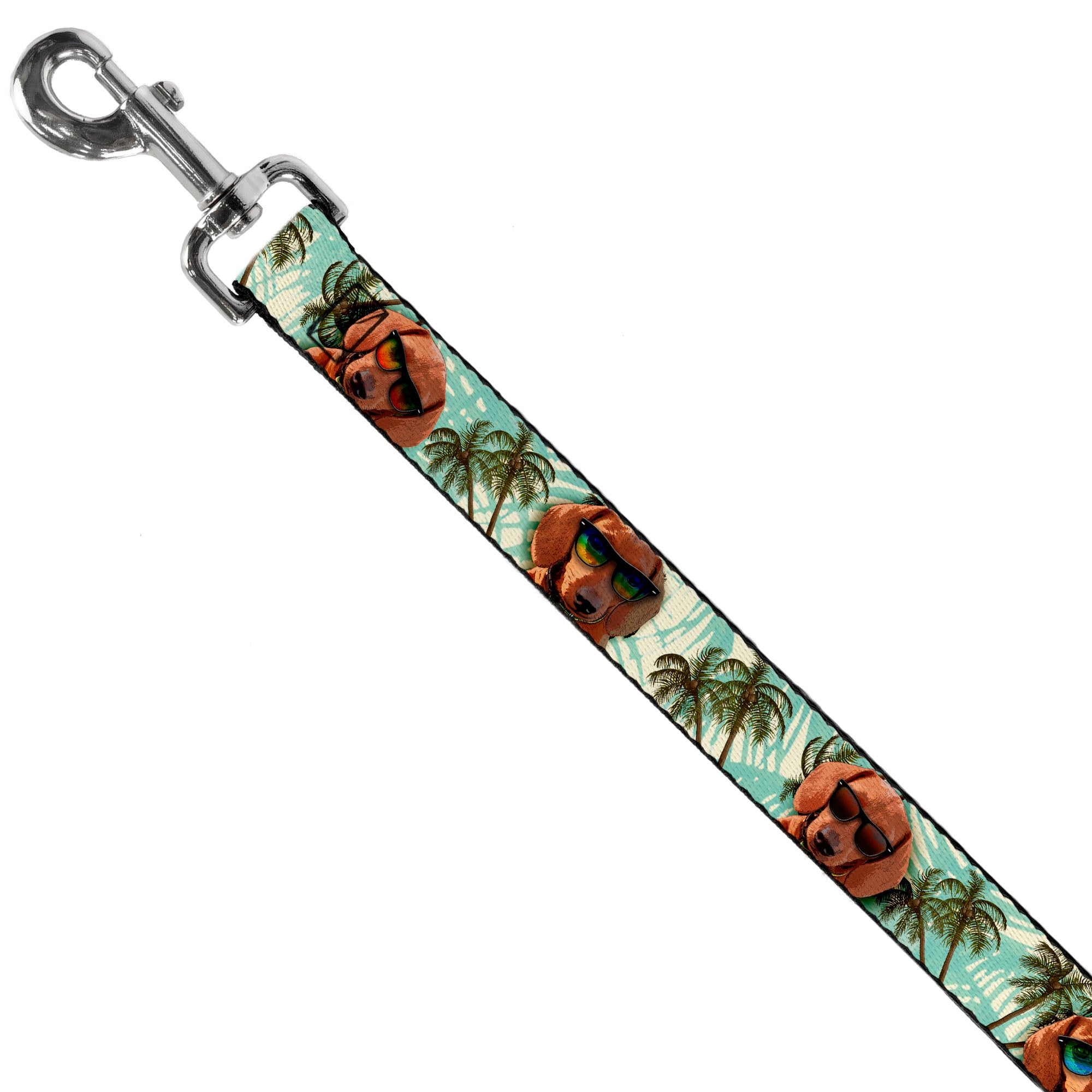 Dog Leash - Dachshund in Shades w/Palm Trees Dog Leashes Buckle-Down