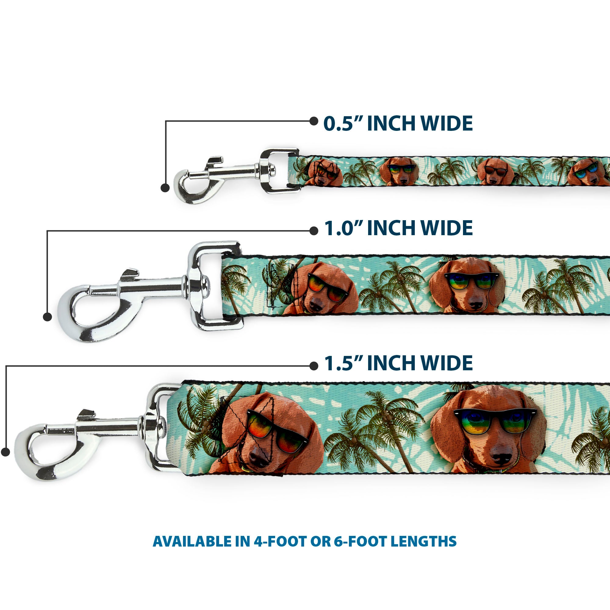 Dog Leash - Dachshund in Shades w/Palm Trees Dog Leashes Buckle-Down