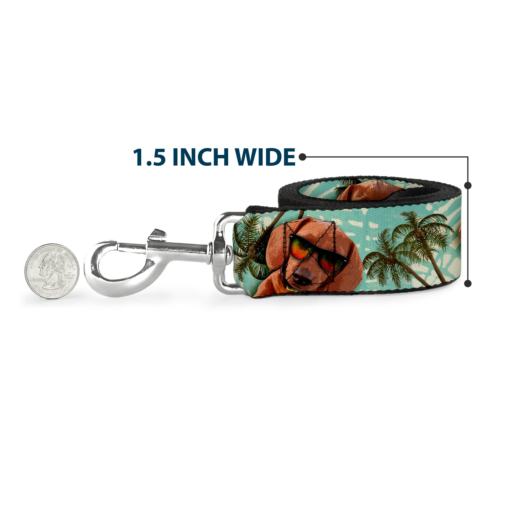 Dog Leash - Dachshund in Shades w/Palm Trees Dog Leashes Buckle-Down