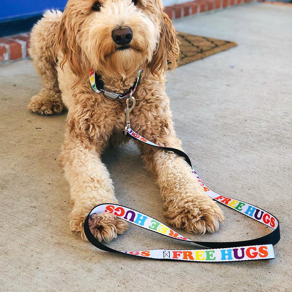Dog Leash - FREE HUGS White/Multi Color Dog Leashes Buckle-Down