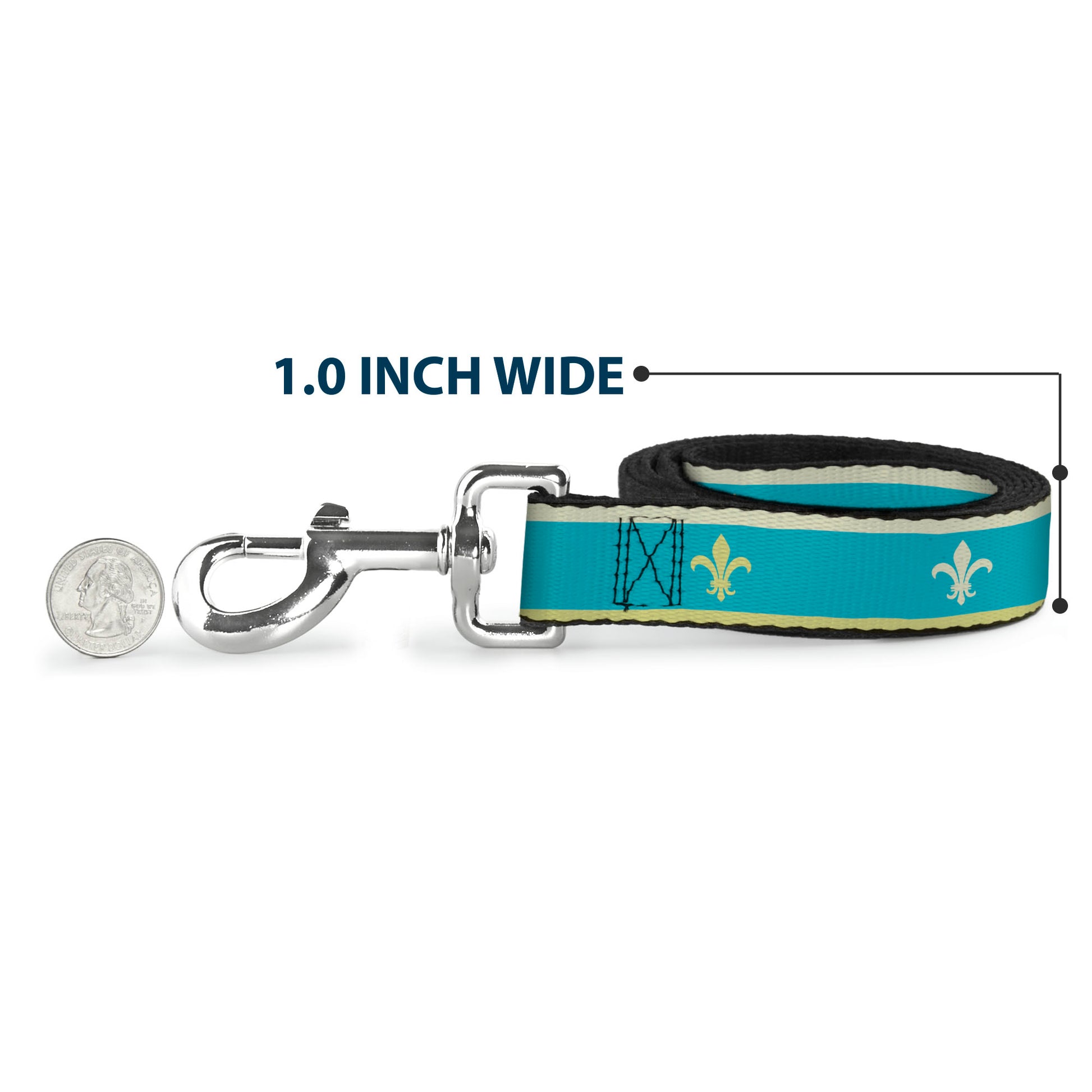 Dog Leash - Fleur-de-Lis2 Baby Blue/Tan/Lime Green Dog Leashes Buckle-Down