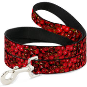 Dog Leash - Fresh Cherries Stacked Dog Leashes Buckle-Down
