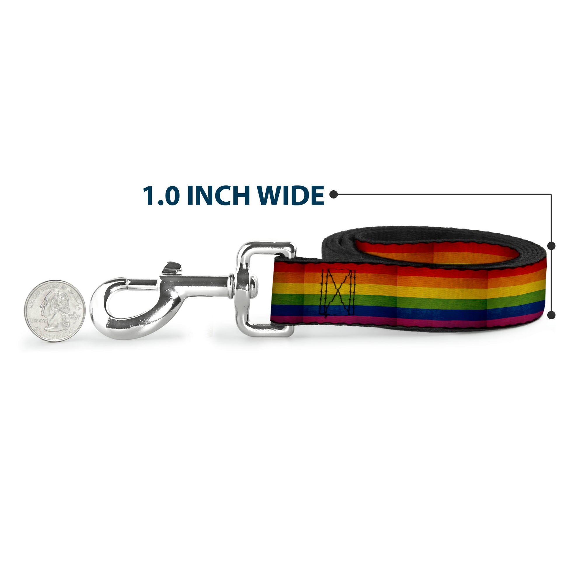 Dog Leash - Flag Pride Distressed Rainbow Dog Leashes Buckle-Down