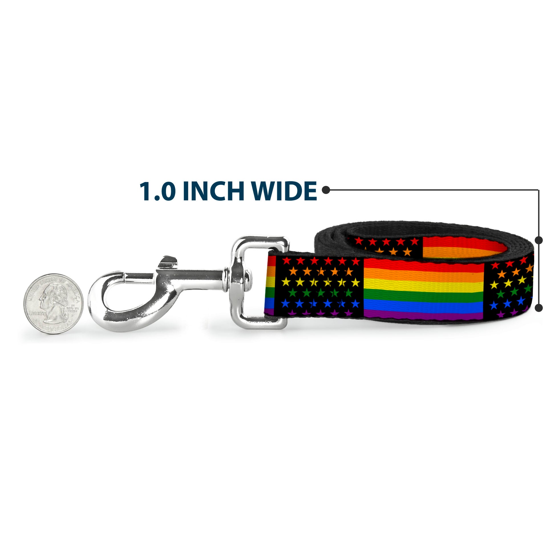 Dog Leash - Flag American Pride Rainbow/Black Dog Leashes Buckle-Down