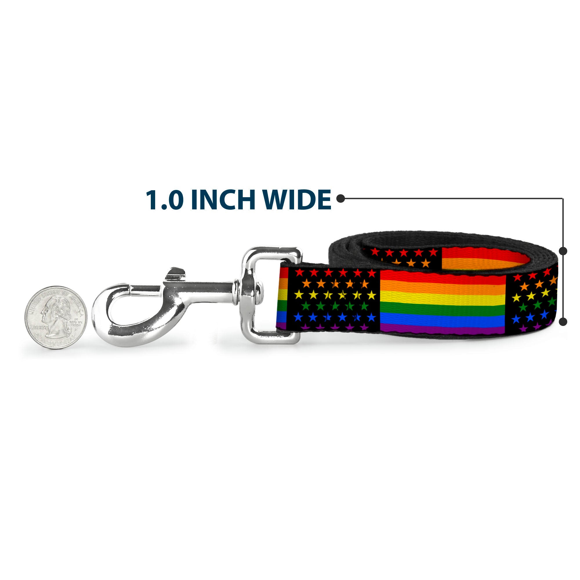 Dog Leash - Flag American Pride Rainbow/Black Dog Leashes Buckle-Down