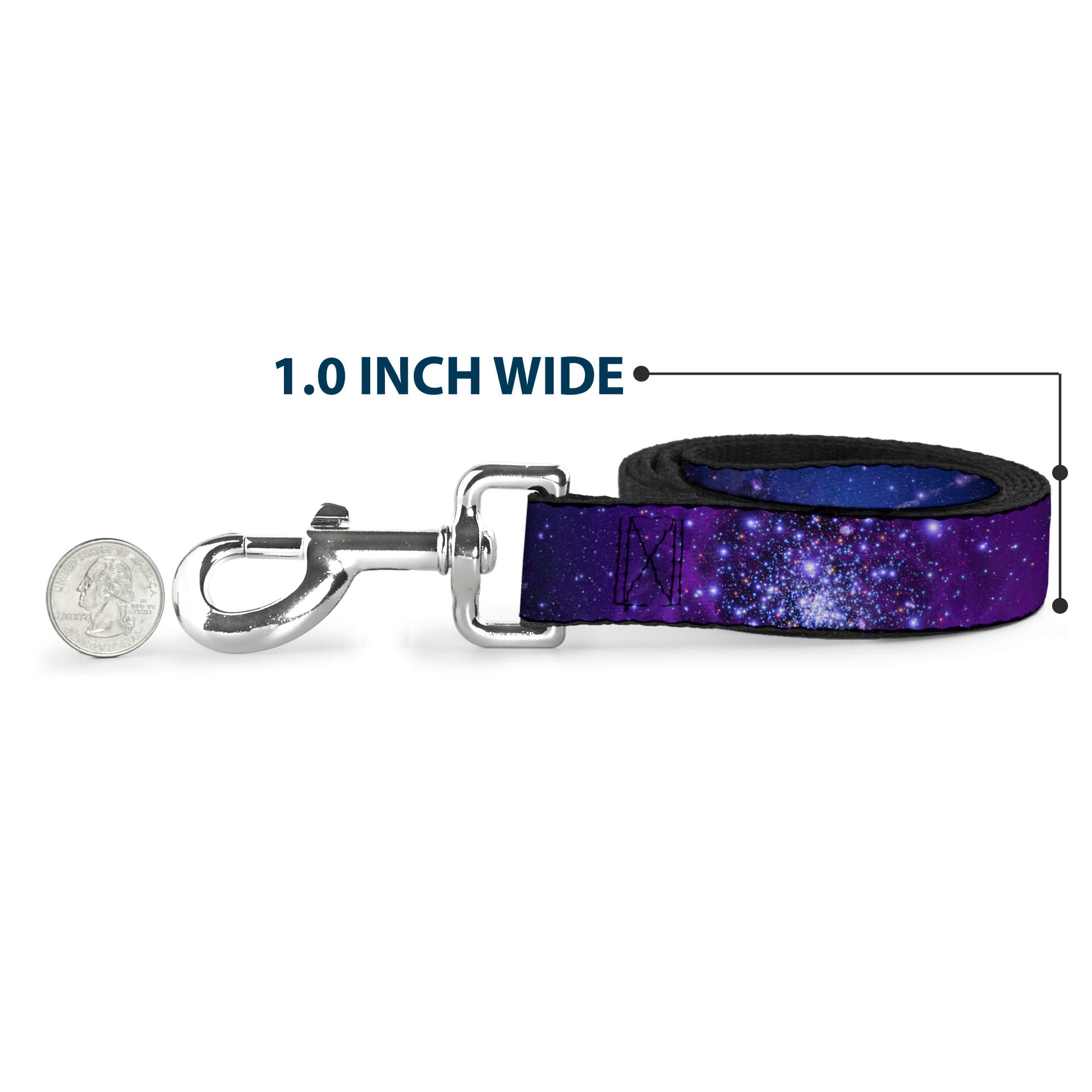 Dog Leash - Galaxy Blues/Purples Dog Leashes Buckle-Down