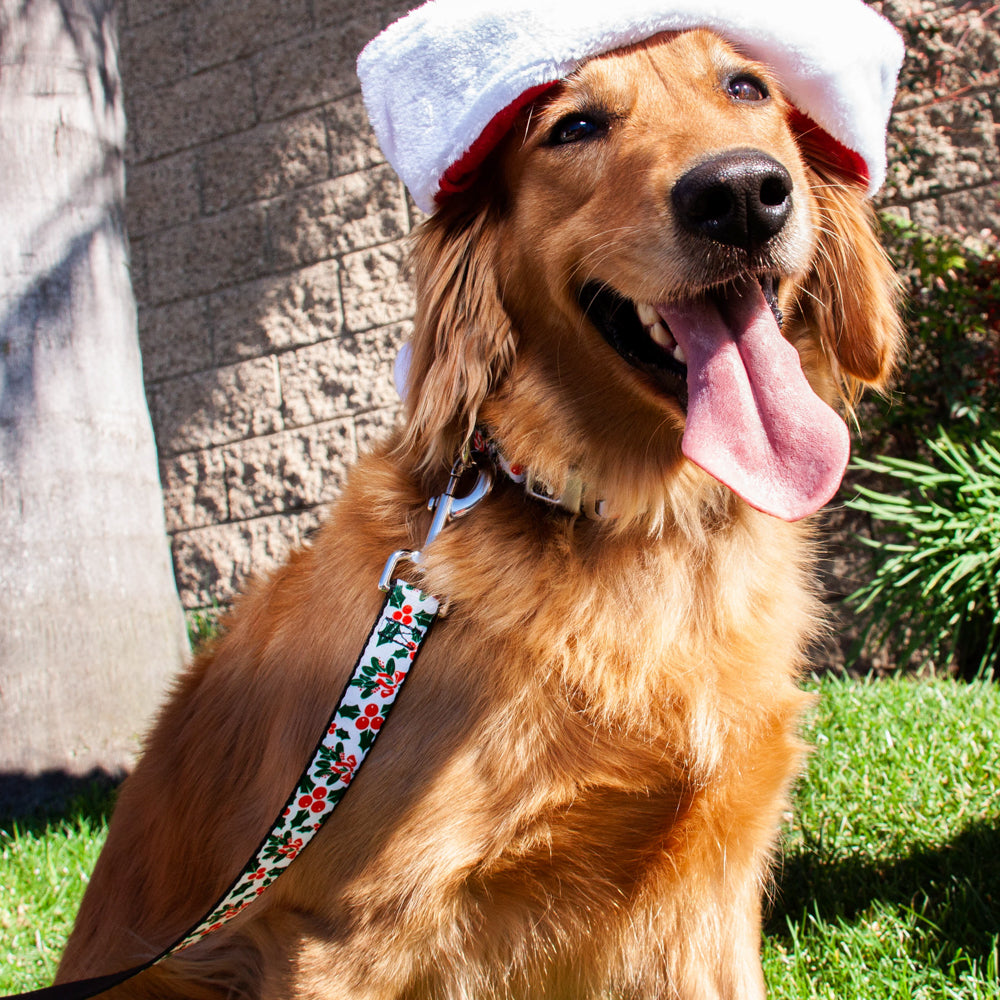 Dog Leash - Holly & Mistletoe Dog Leashes Buckle-Down