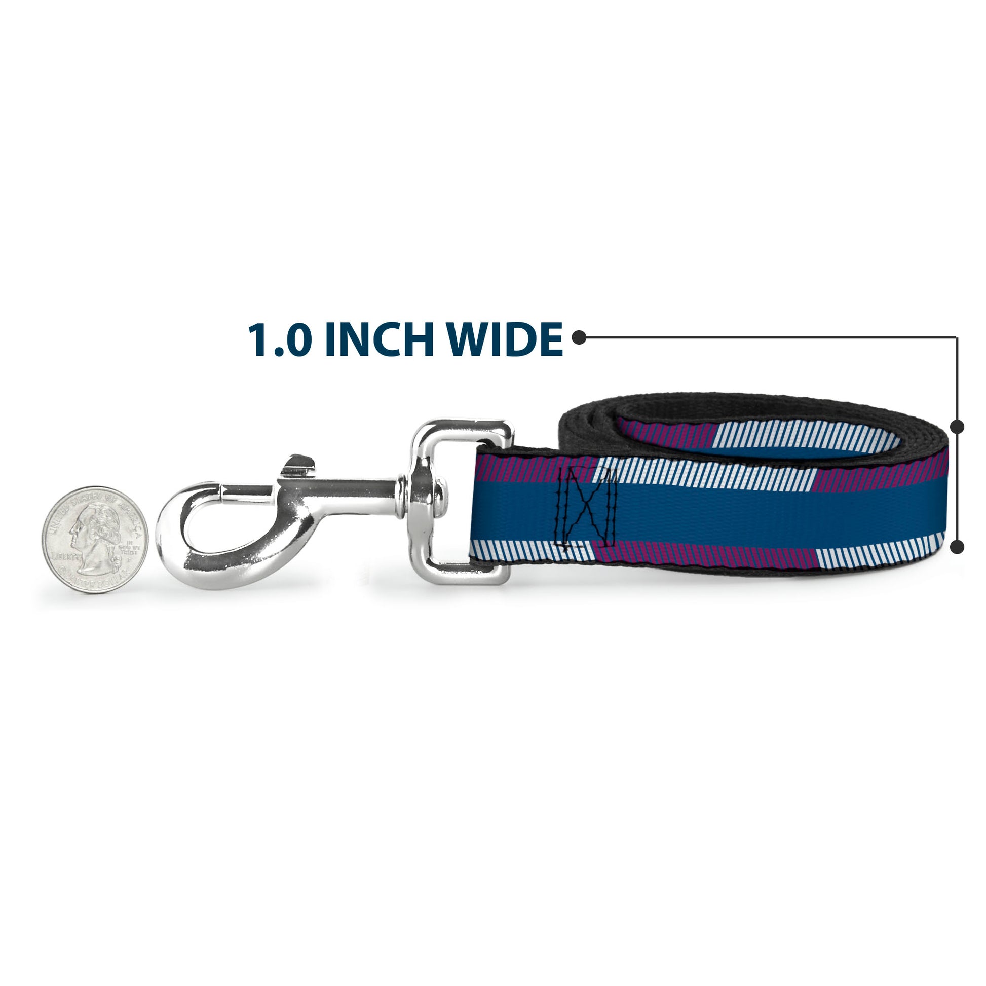 Dog Leash - Hash Mark Stripe Turquoise/Fuchsia/White Dog Leashes Buckle-Down