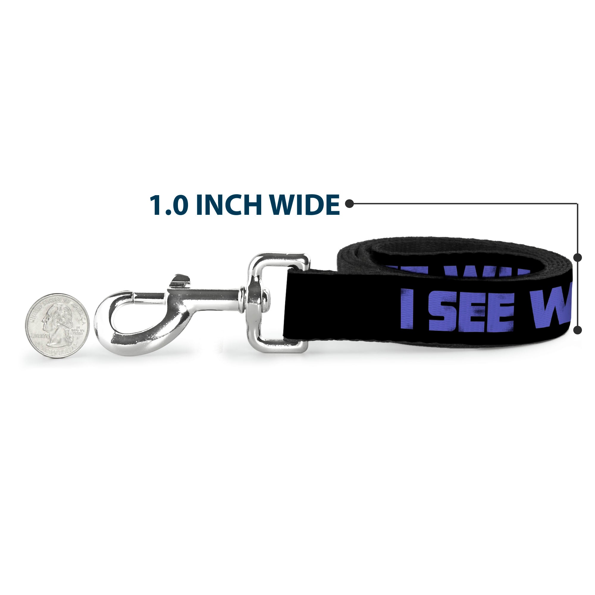 Dog Leash - I SEE WHAT YOU DID THERE Weathered Black/Purple Dog Leashes Buckle-Down