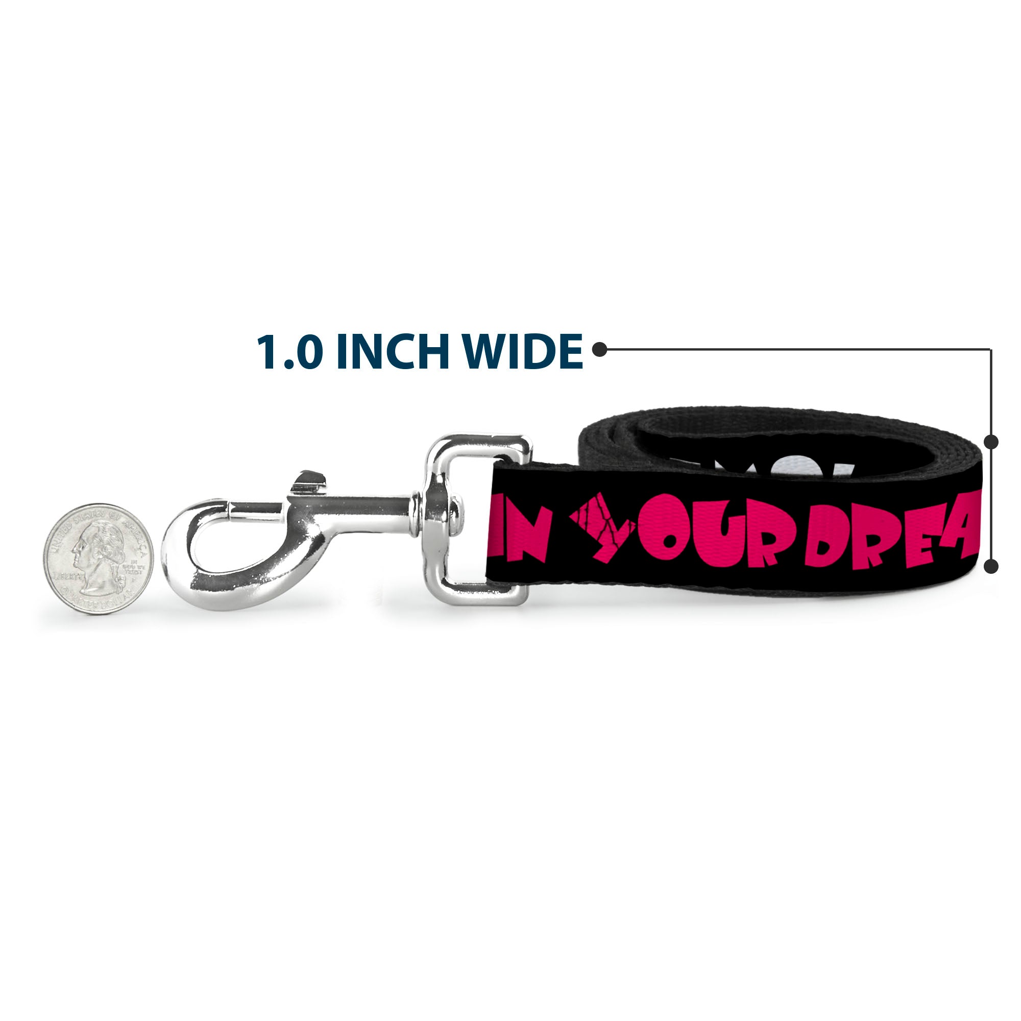 Dog Leash - IN YOUR DREAMS! Black/White/Pink Dog Leashes Buckle-Down