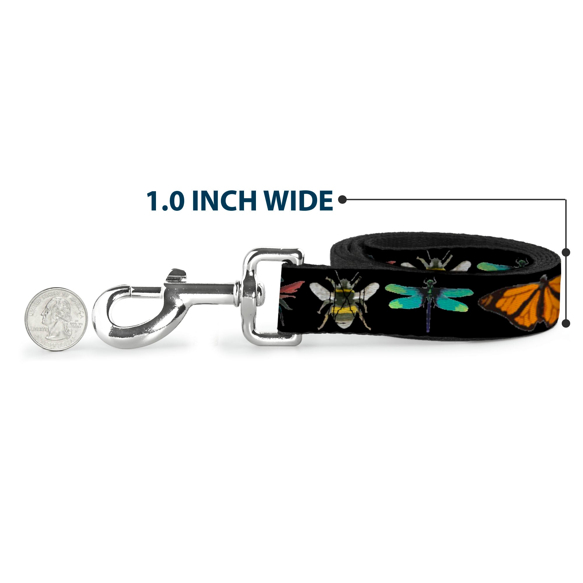 Dog Leash - Insects CLOSE-UP Black Dog Leashes Buckle-Down