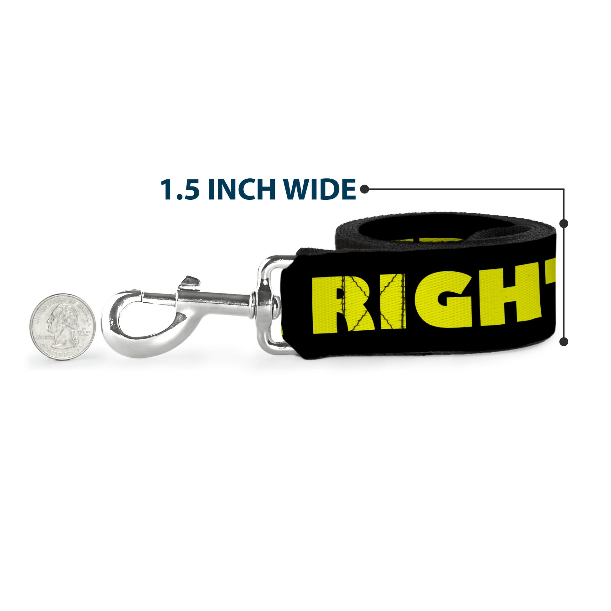 Dog Leash - J/K RIGHT? Black/Yellow Dog Leashes Buckle-Down