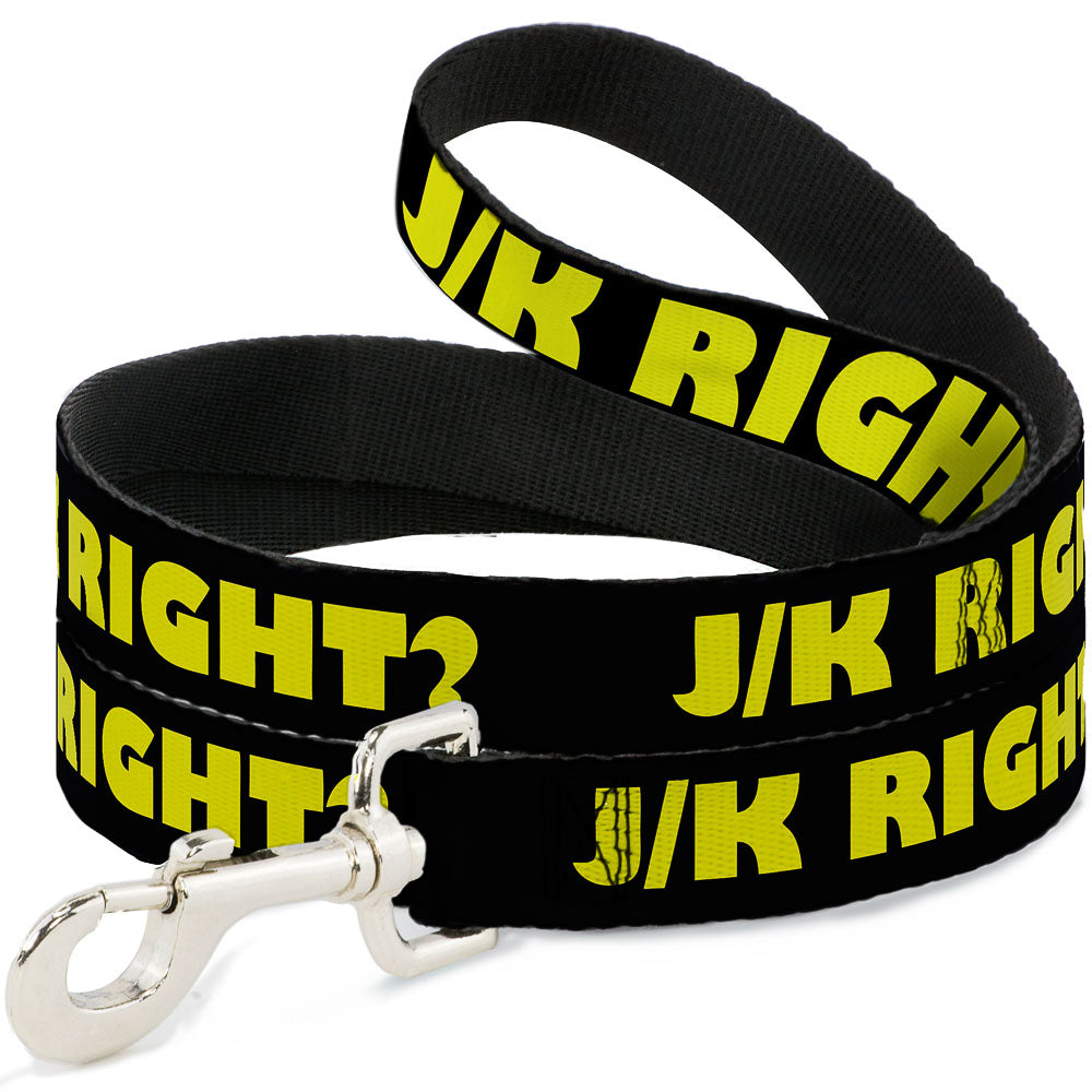 Dog Leash - J/K RIGHT? Black/Yellow Dog Leashes Buckle-Down