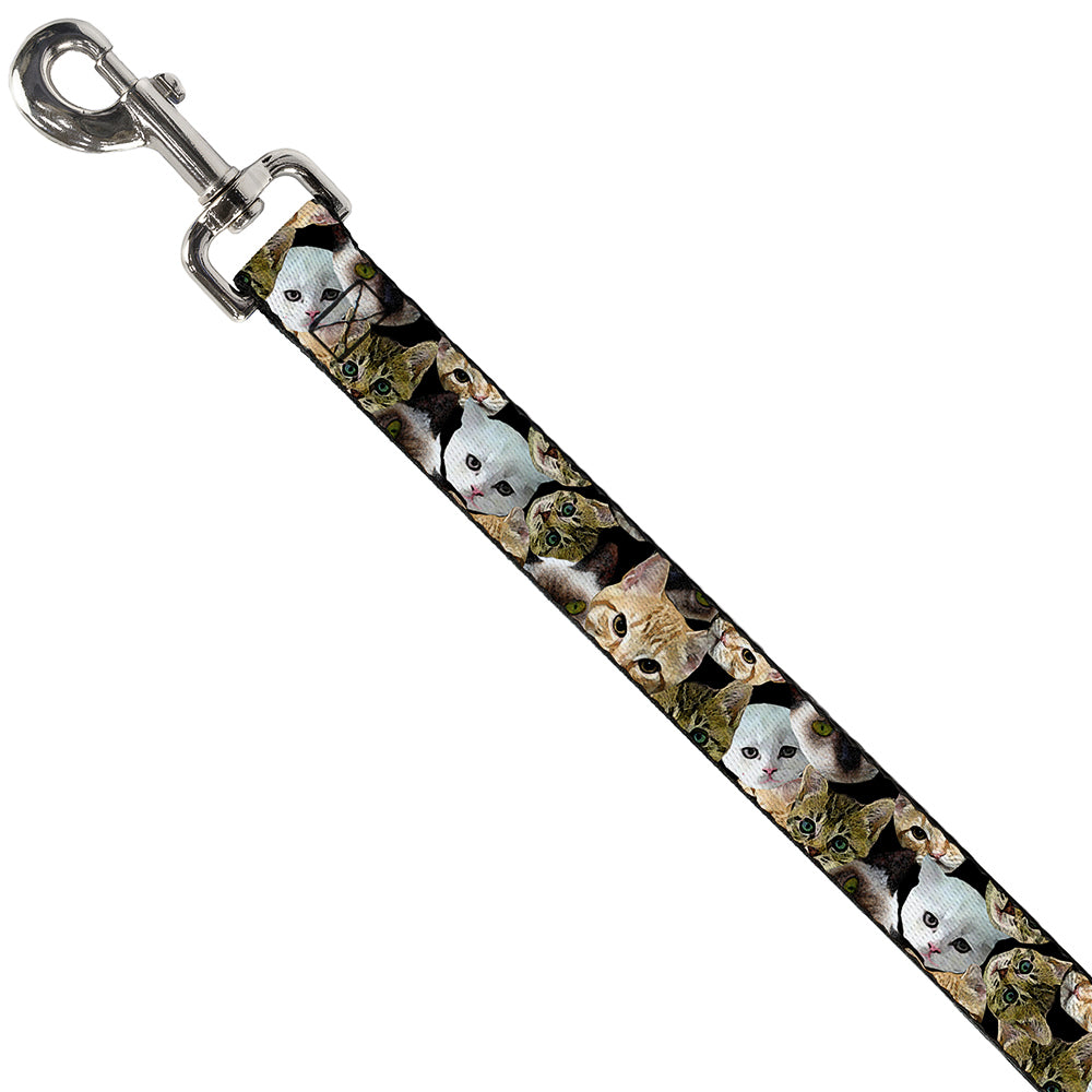 Dog Leash - Kitten Faces Scattered Black Dog Leashes Buckle-Down