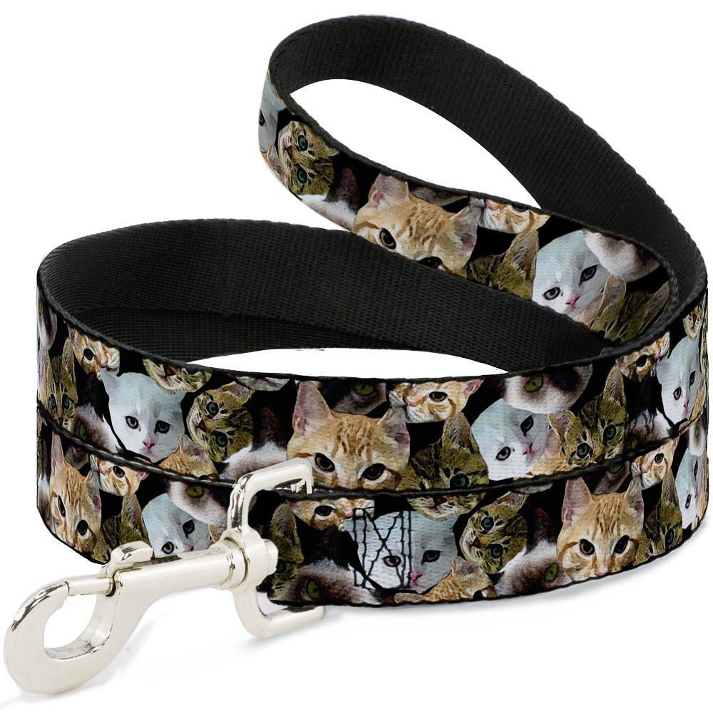 Dog Leash - Kitten Faces Scattered Black Dog Leashes Buckle-Down