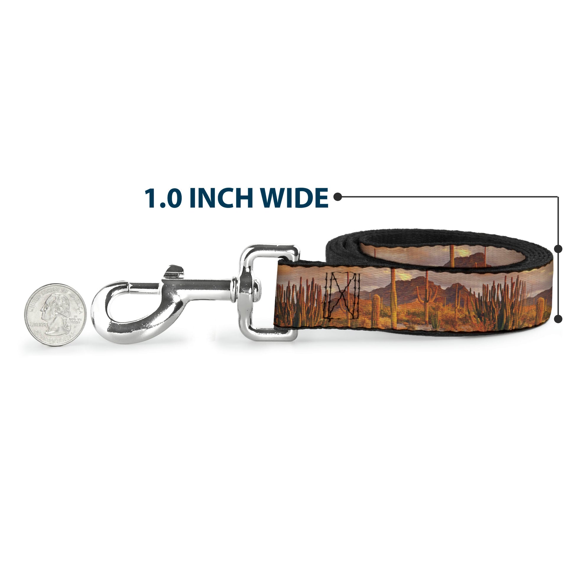 Dog Leash - Landscape Desert Cacti Dog Leashes Buckle-Down
