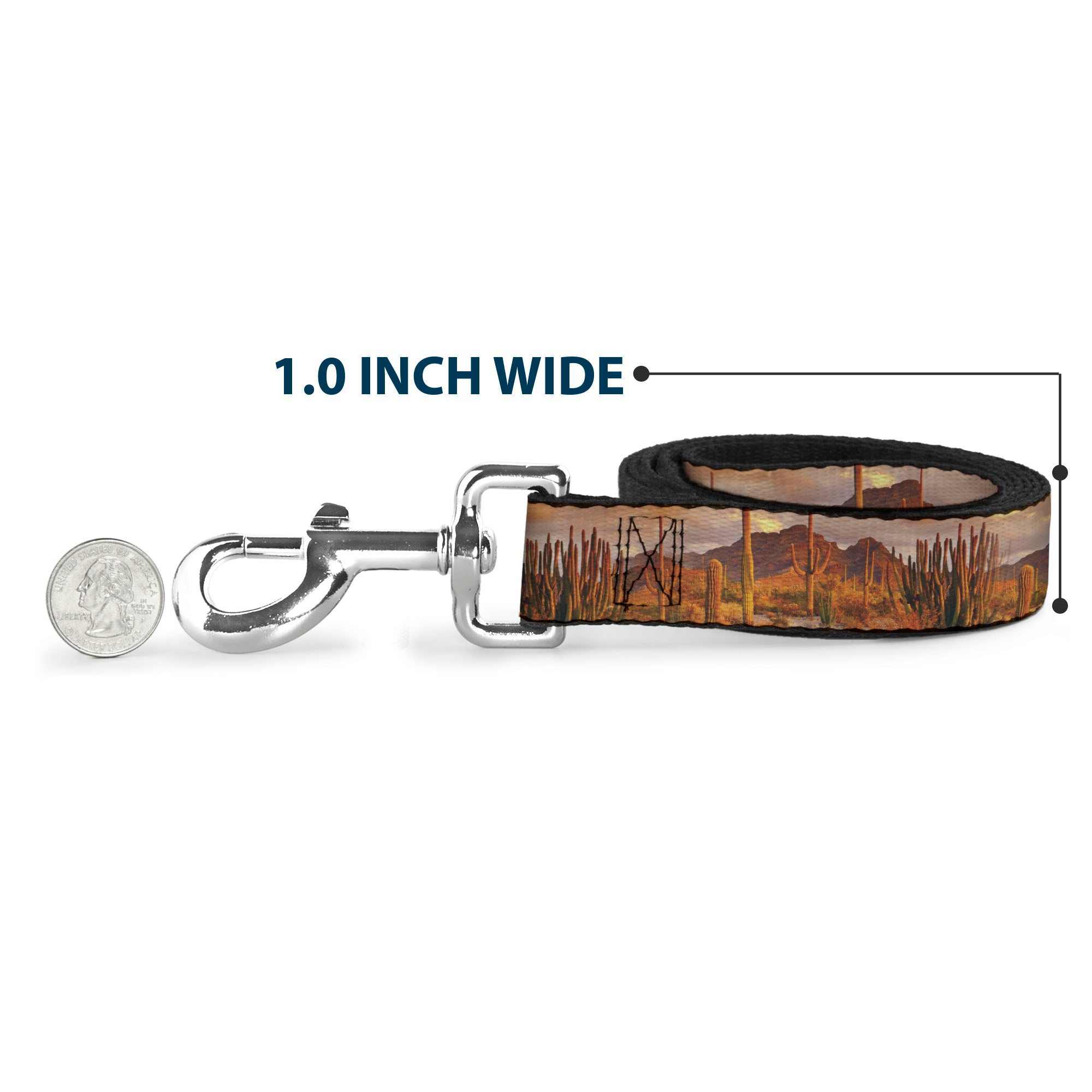 Dog Leash - Landscape Desert Cacti Dog Leashes Buckle-Down
