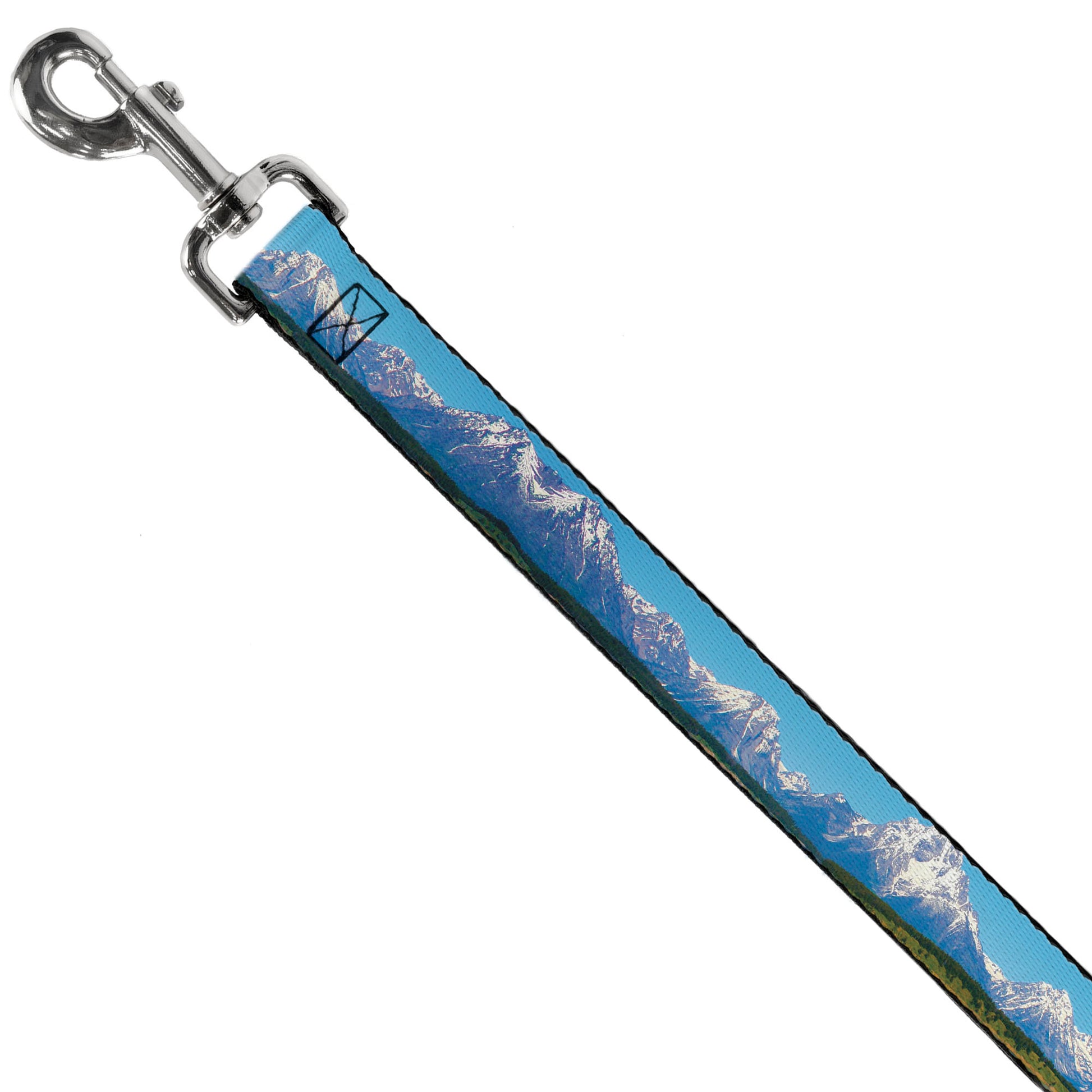 Dog Leash - Landscape Snowy Mountains Dog Leashes Buckle-Down