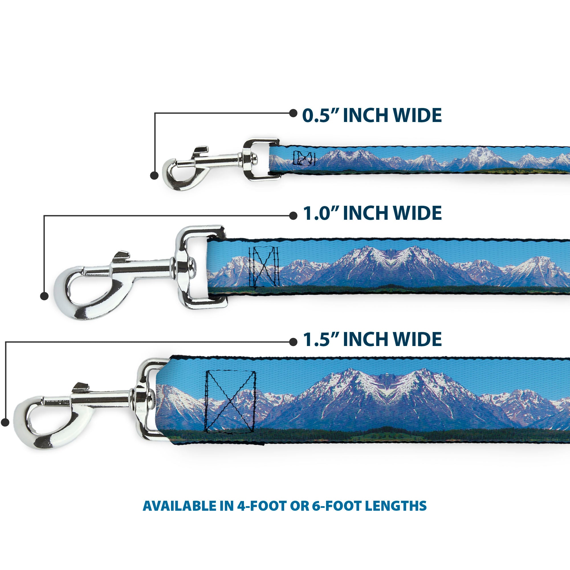 Dog Leash - Landscape Snowy Mountains Dog Leashes Buckle-Down