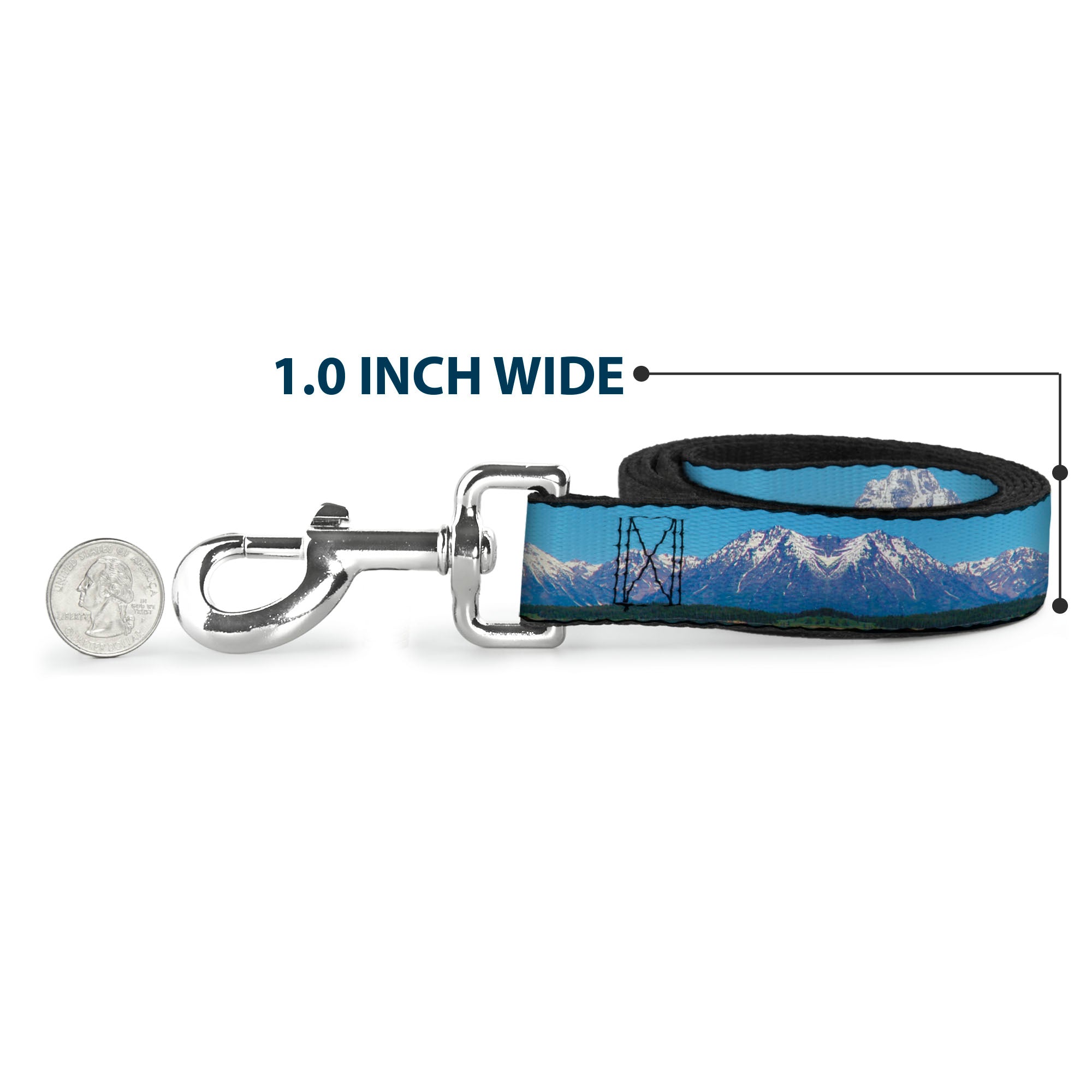 Dog Leash - Landscape Snowy Mountains Dog Leashes Buckle-Down