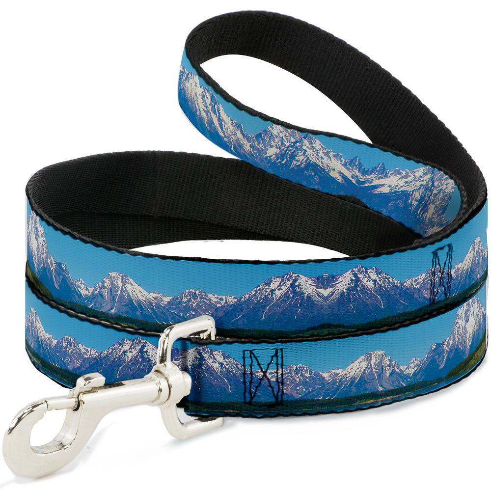 Dog Leash - Landscape Snowy Mountains Dog Leashes Buckle-Down