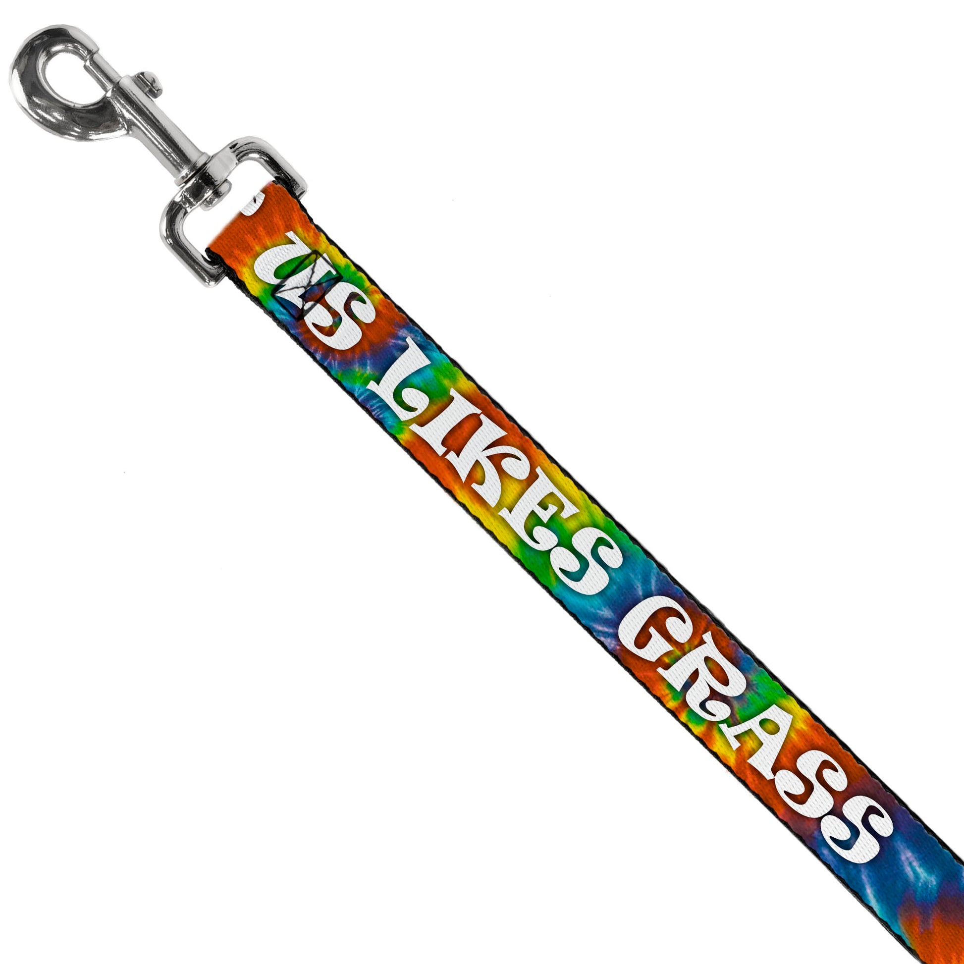 Buckle-Down Dog Leash - ONE OF US LIKES GRASS/Tie Dye Multi Color/White Dog Leashes Buckle-Down