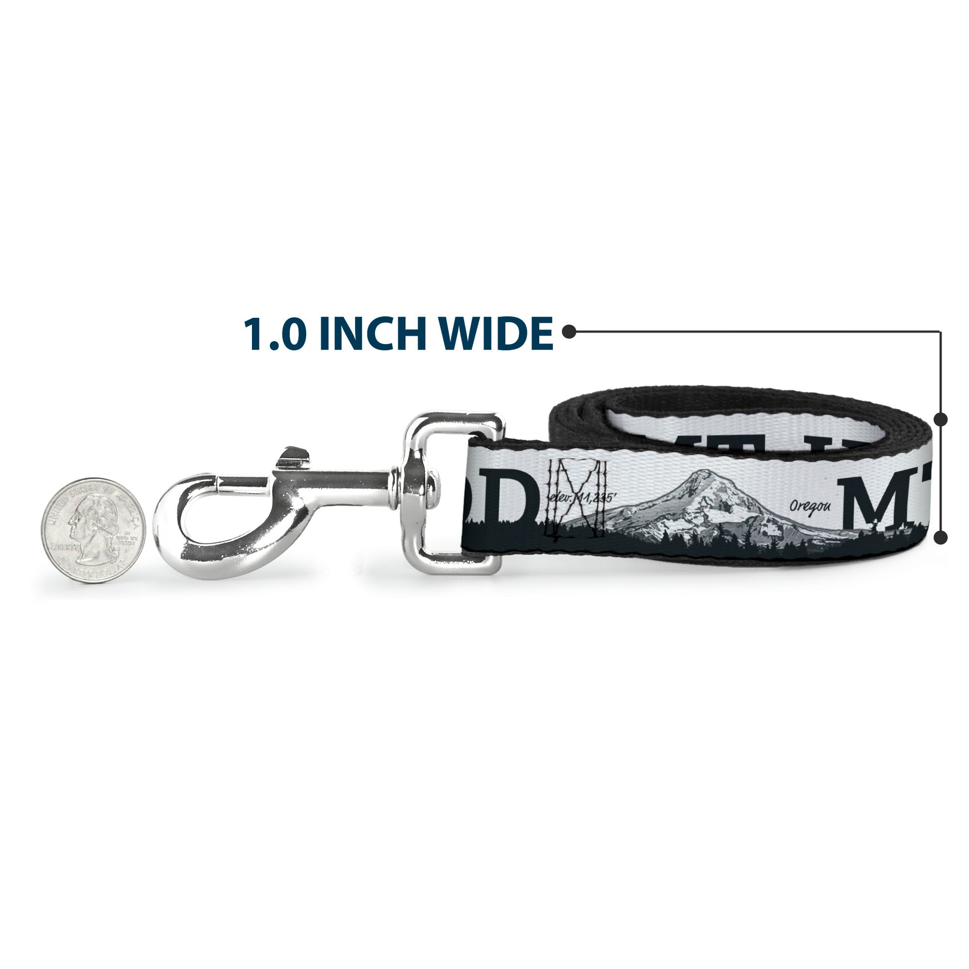 Dog Leash - Oregon MT. HOOD Scenery White/Grays Dog Leashes Buckle-Down