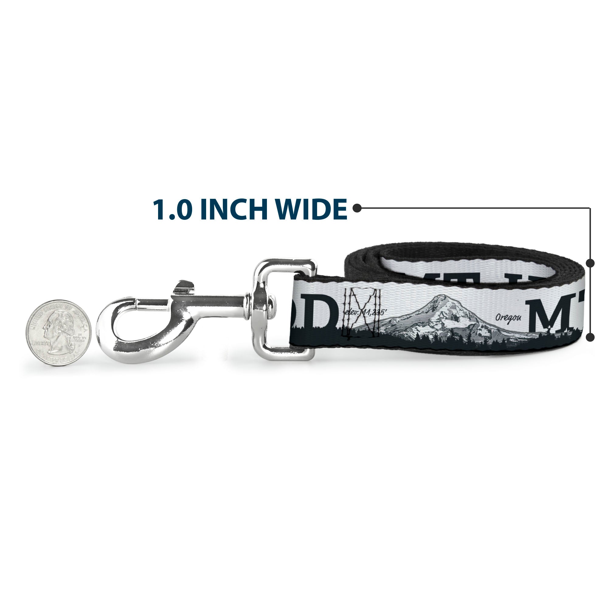 Dog Leash - Oregon MT. HOOD Scenery White/Grays Dog Leashes Buckle-Down