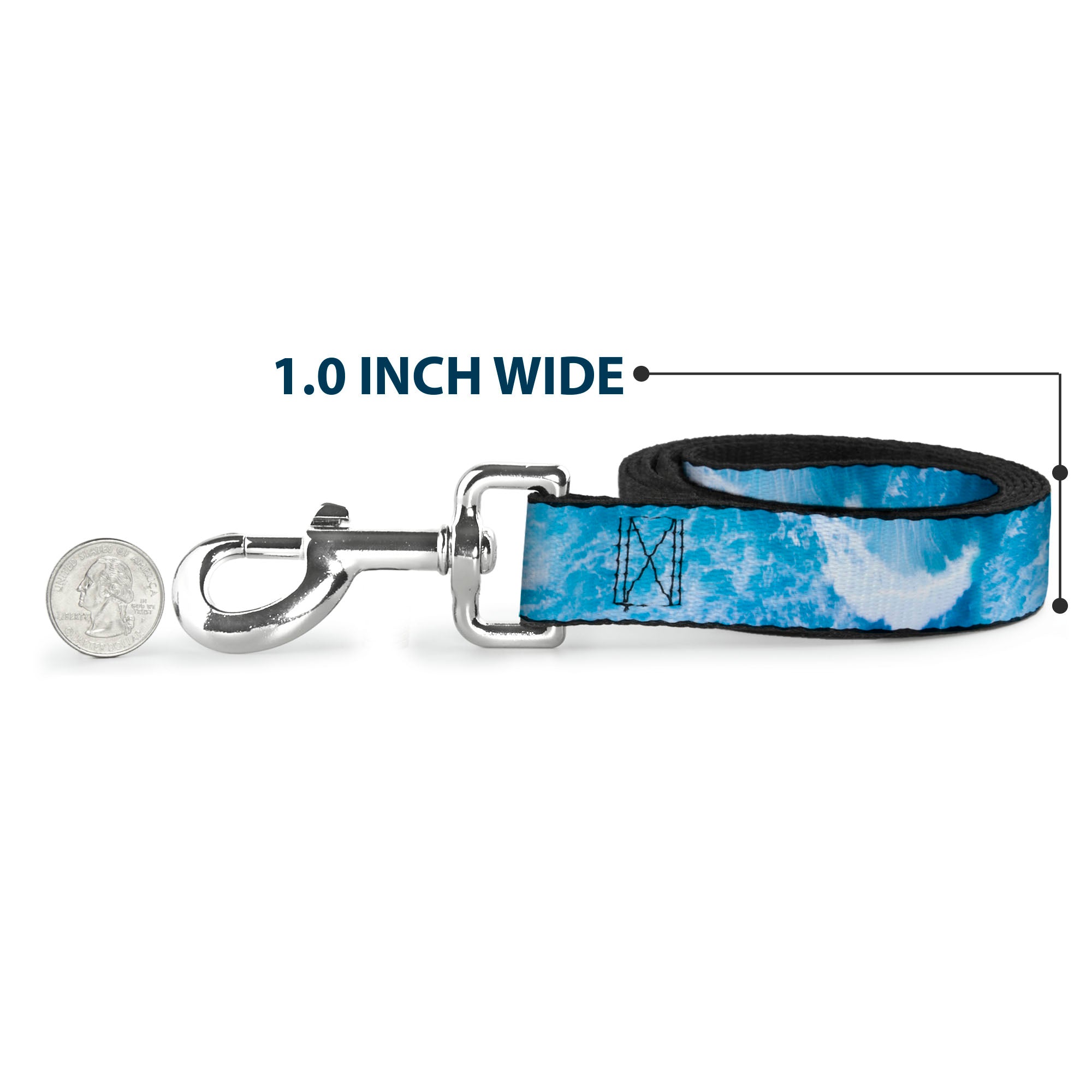Dog Leash - Ocean Vivid White Wash Dog Leashes Buckle-Down