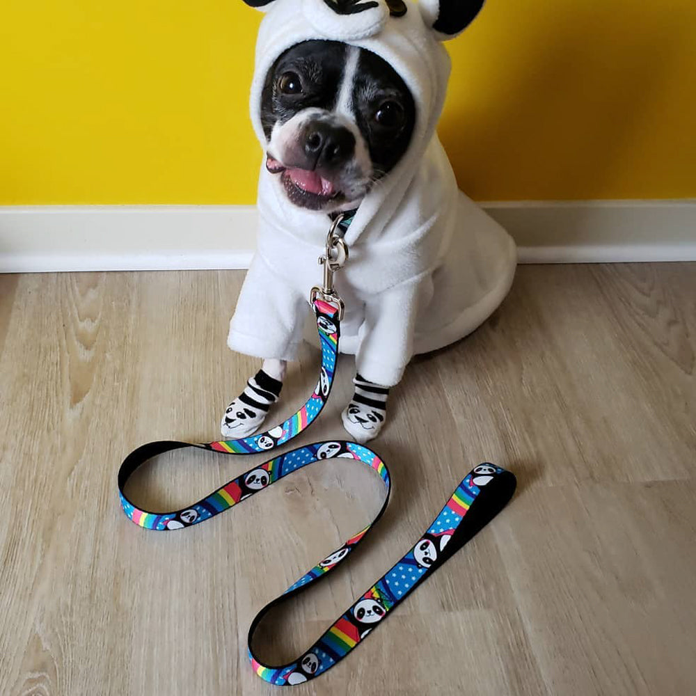 Dog Leash - Pandas & Rainbows w/Stars Dog Leashes Buckle-Down