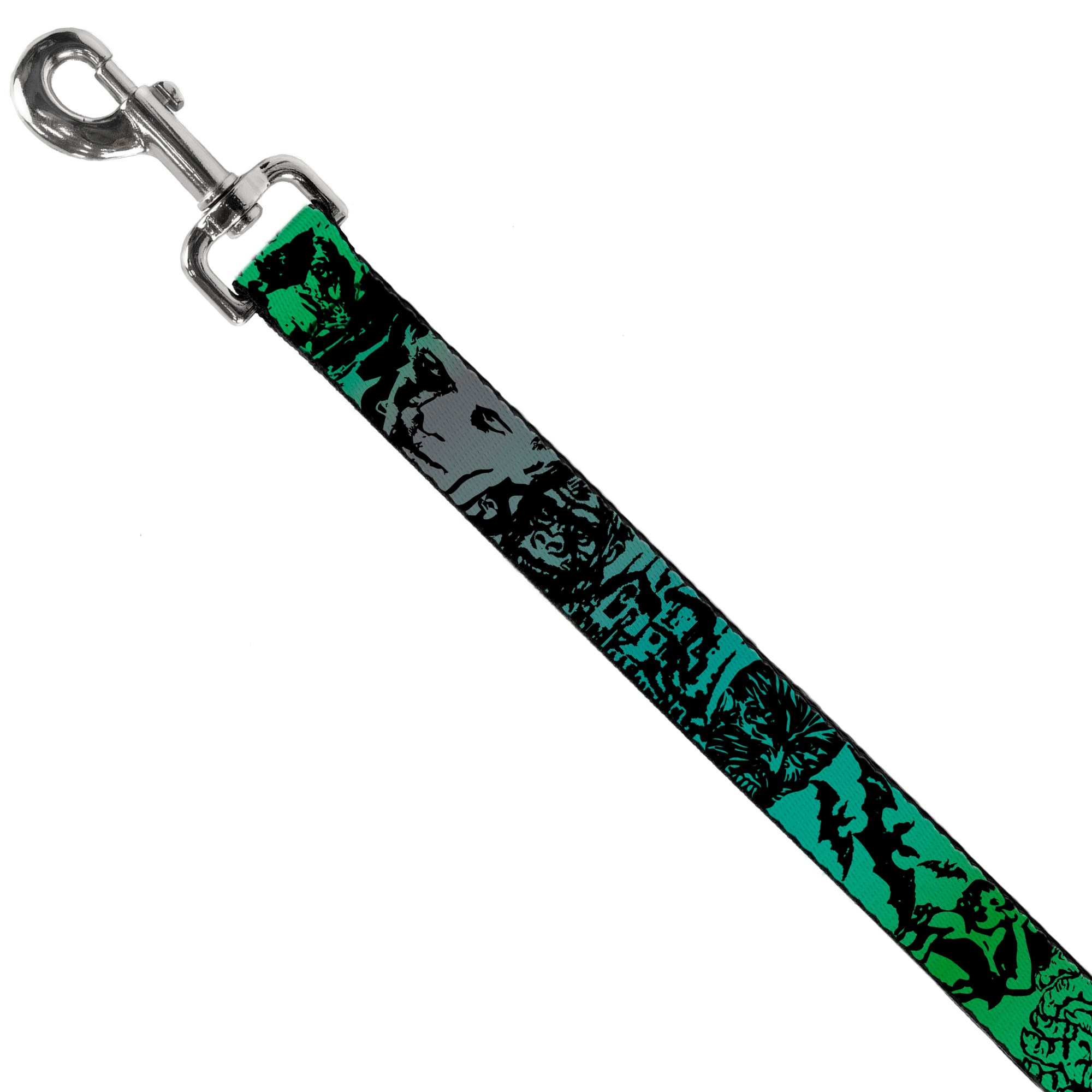 Dog Leash - Retro Monster Aqua/Black Dog Leashes Buckle-Down