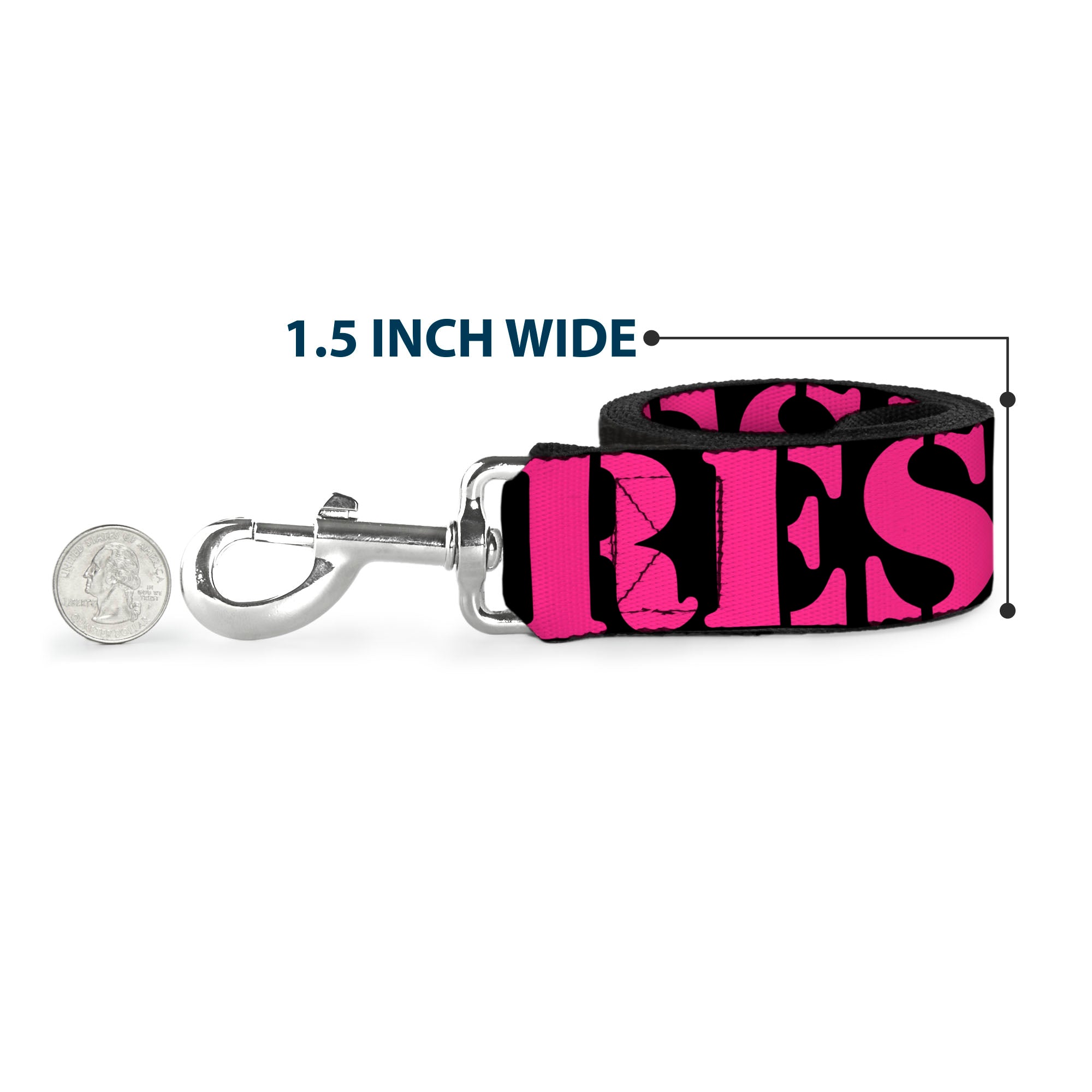 Dog Leash - RESIST Stencil Black/Pink Dog Leashes Buckle-Down