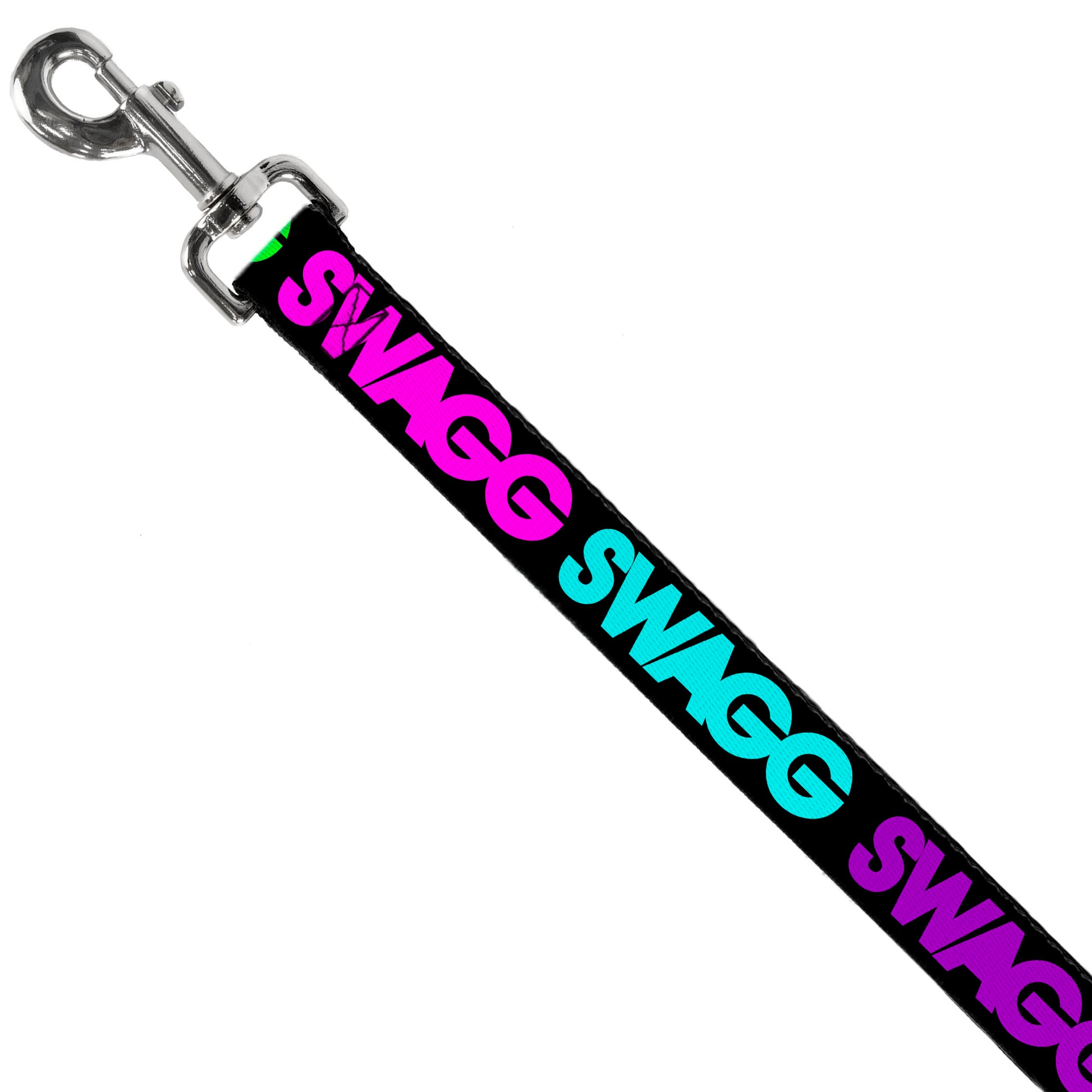 Dog Leash - SWAGG Black/Hot Pink/Turquoise/Purple/Neon Green Dog Leashes Buckle-Down