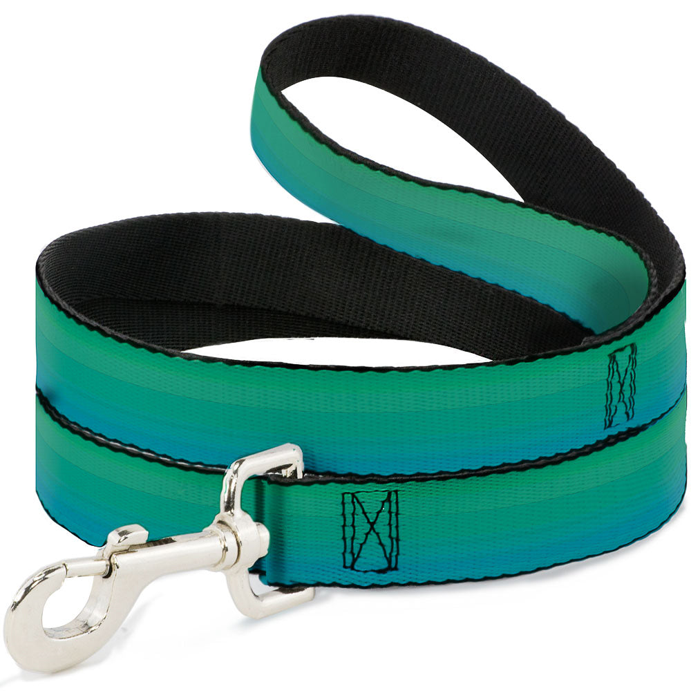 Dog Leash - Teal Ombre Dog Leashes Buckle-Down