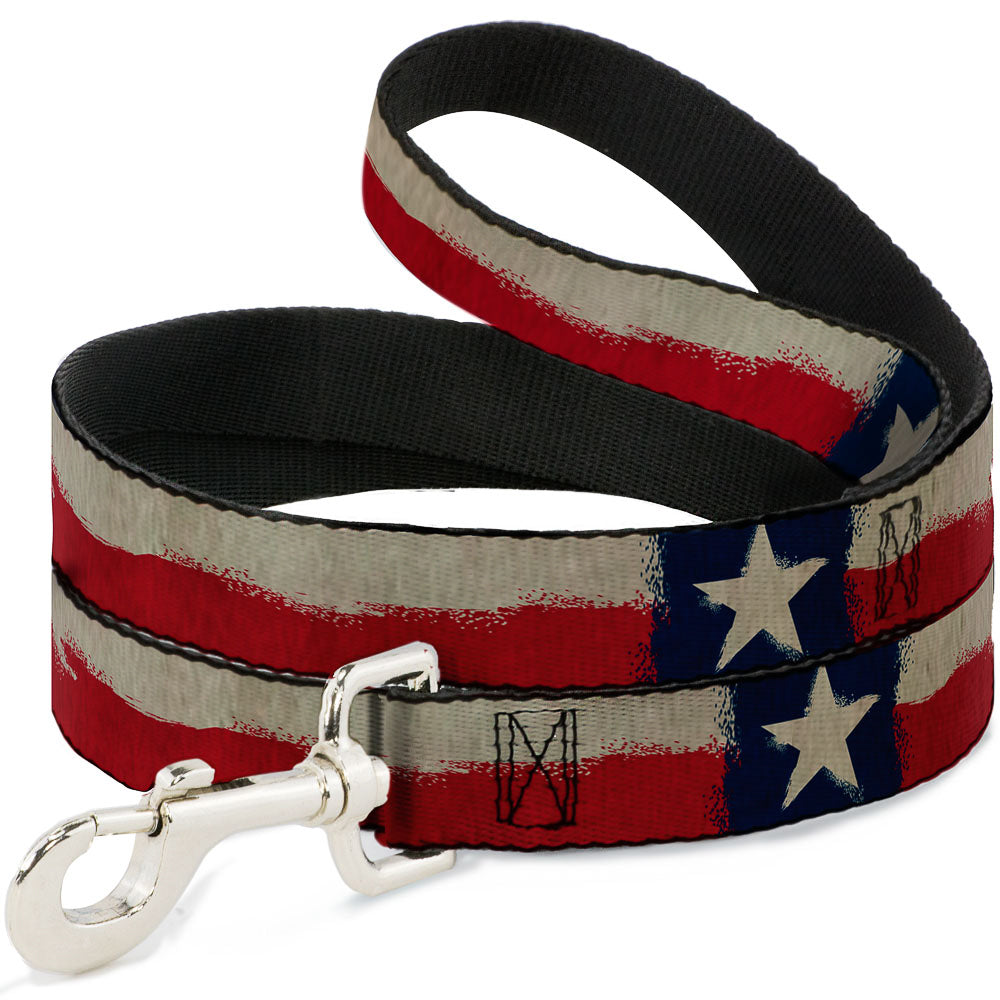 Dog Leash - Texas Flag CLOSE-UP Distressed Painting Dog Leashes Buckle-Down