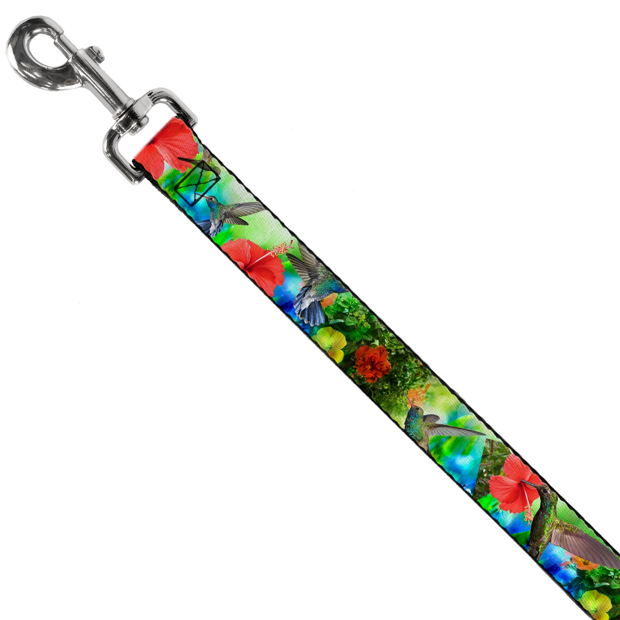 Dog Leash - Vivid Hummingbird Garden Dog Leashes Buckle-Down