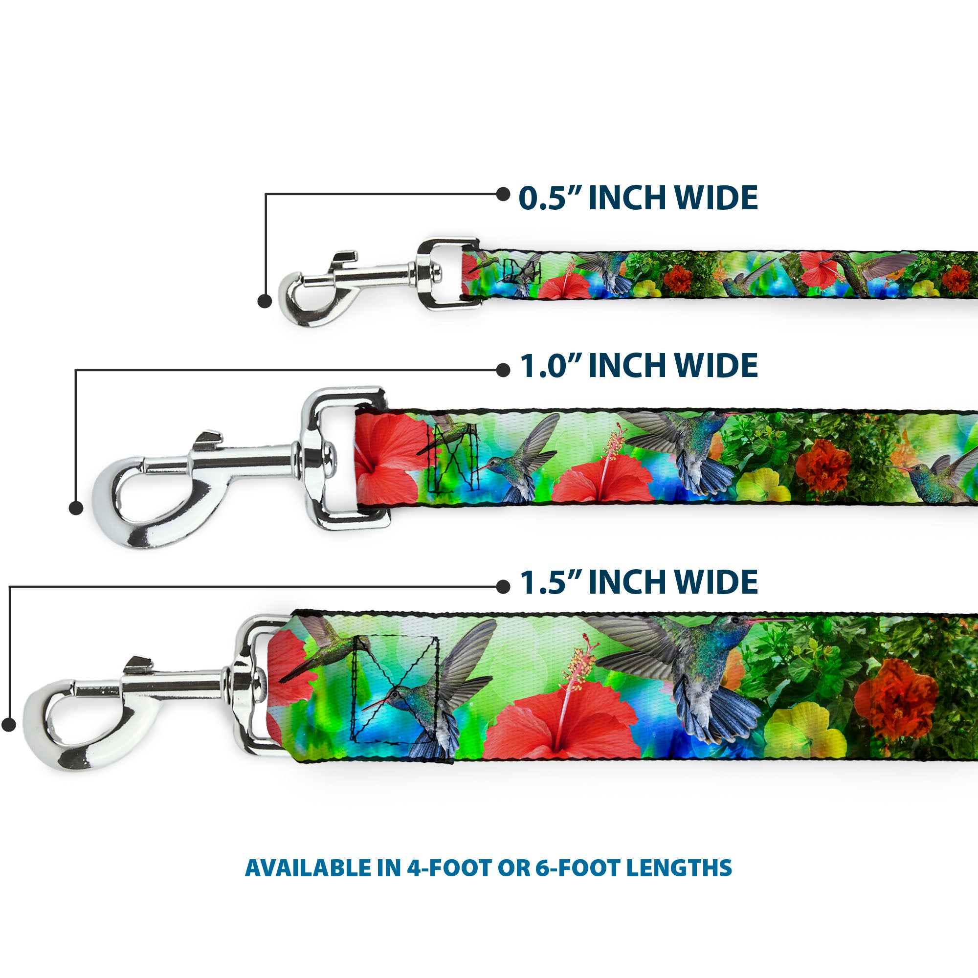 Dog Leash - Vivid Hummingbird Garden Dog Leashes Buckle-Down
