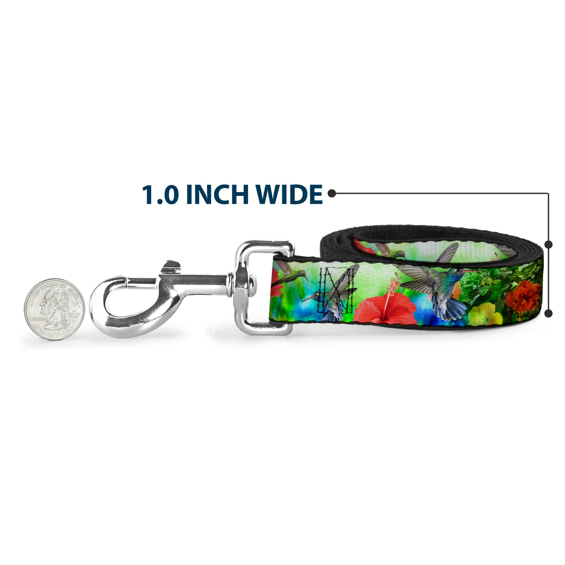 Dog Leash - Vivid Hummingbird Garden Dog Leashes Buckle-Down
