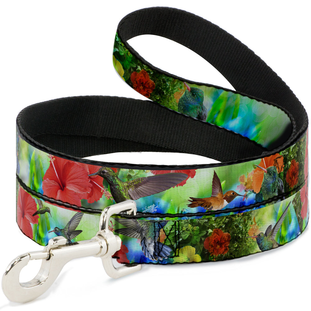 Dog Leash - Vivid Hummingbird Garden Dog Leashes Buckle-Down