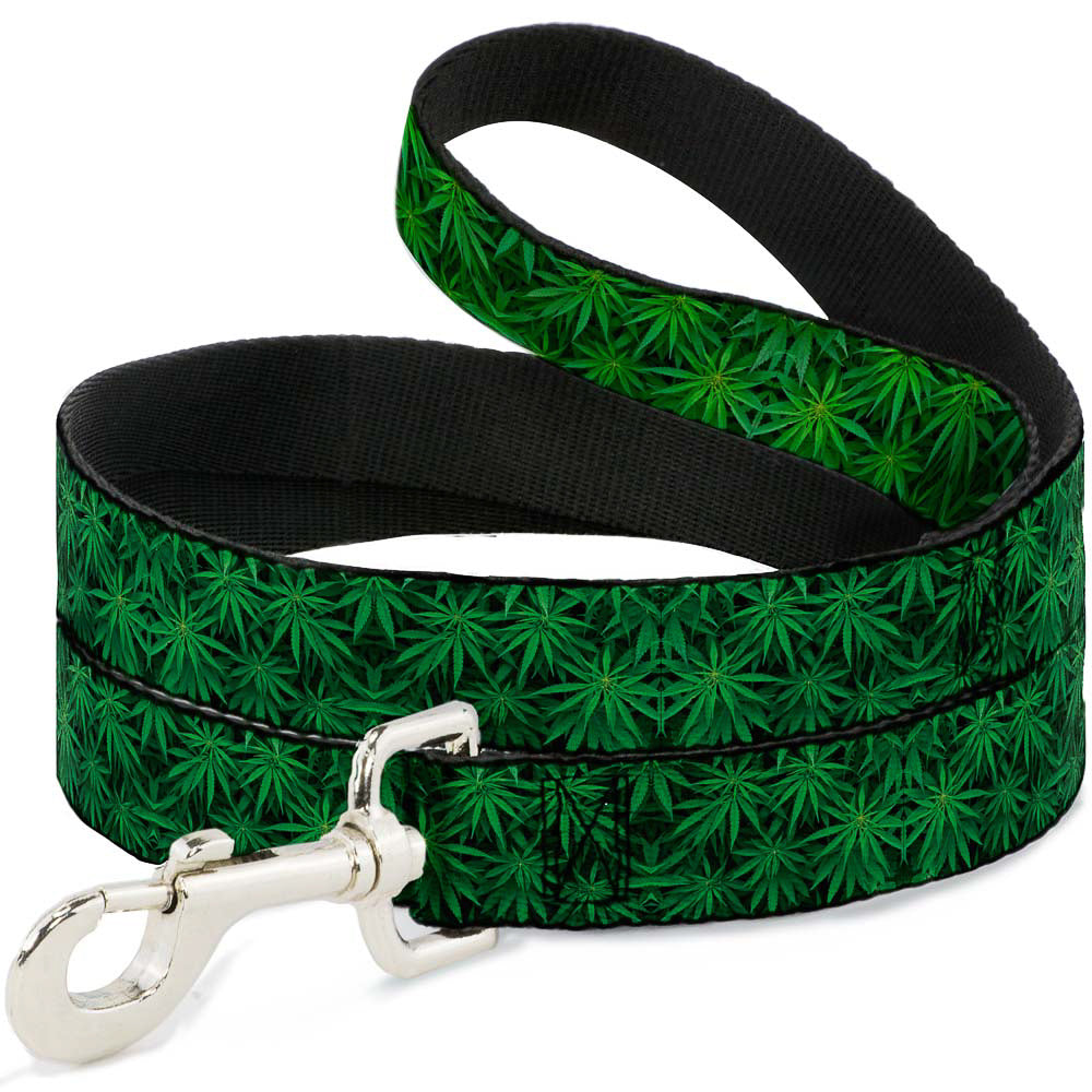 Buckle-Down Dog Leash - Vivid Marijuana Leaves Stacked Dog Leashes Buckle-Down