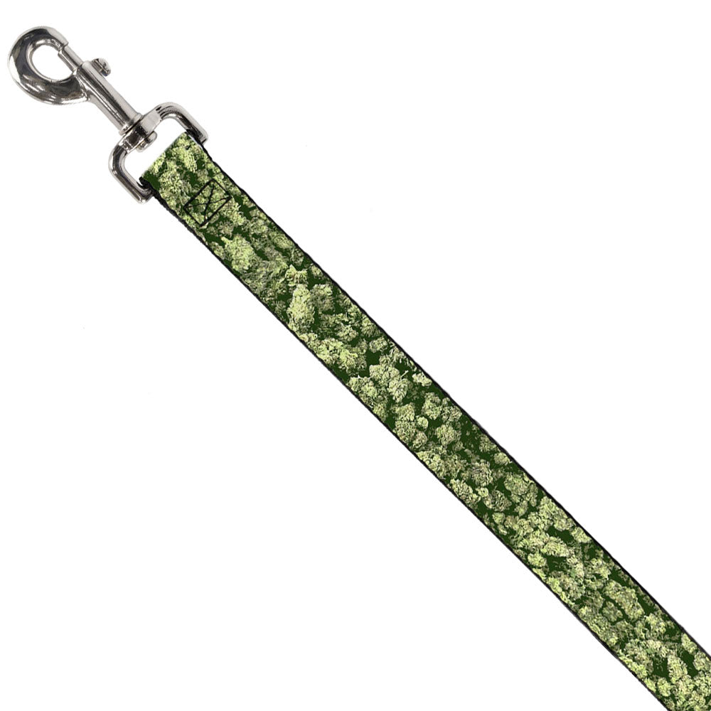 Buckle-Down Dog Leash - Vivid Marijuana Nugs Stacked Dog Leashes Buckle-Down