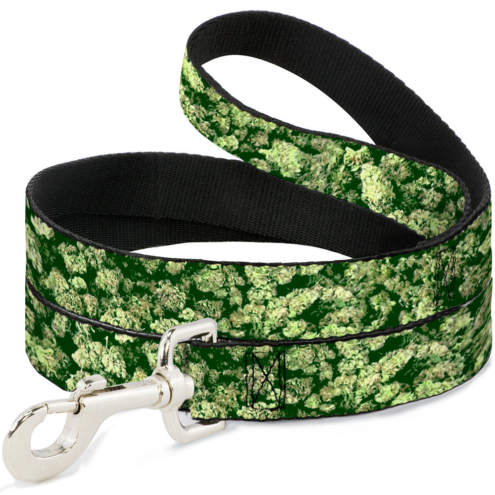 Buckle-Down Dog Leash - Vivid Marijuana Nugs Stacked Dog Leashes Buckle-Down