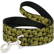 Buckle-Down Dog Leash - Vivid Marijuana Nugs2 Stacked Dog Leashes Buckle-Down