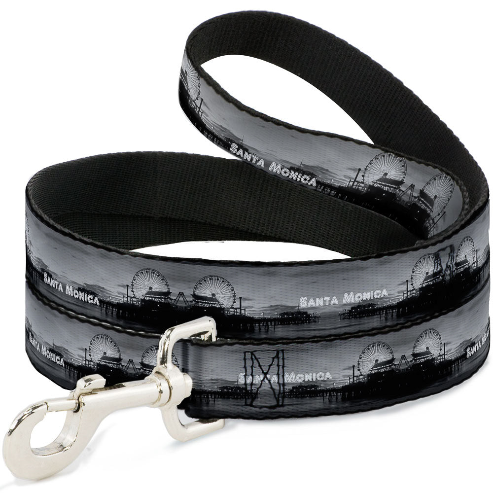 Dog Leash - Vivid SANTA MONICA Pier Skyline Grays/White Dog Leashes Buckle-Down