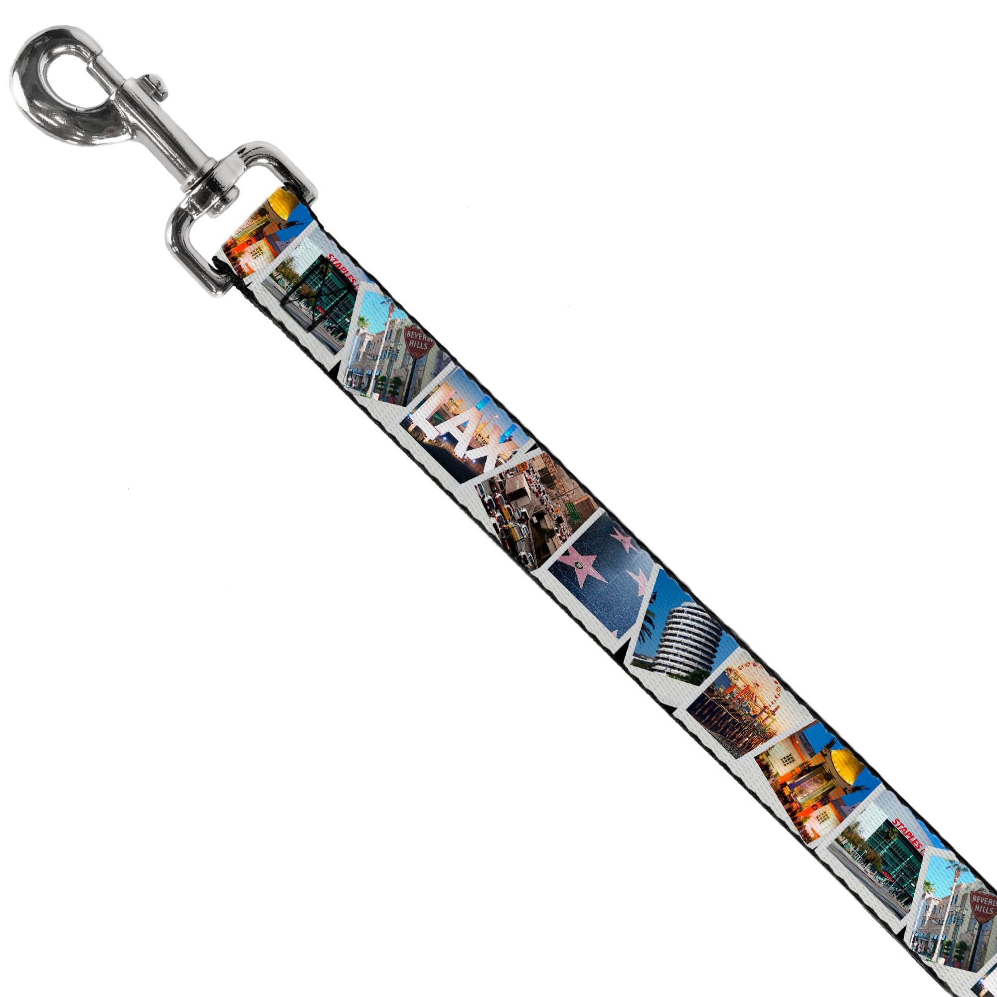 Dog Leash - Vivid Los Angeles Snapshots Stacked Dog Leashes Buckle-Down