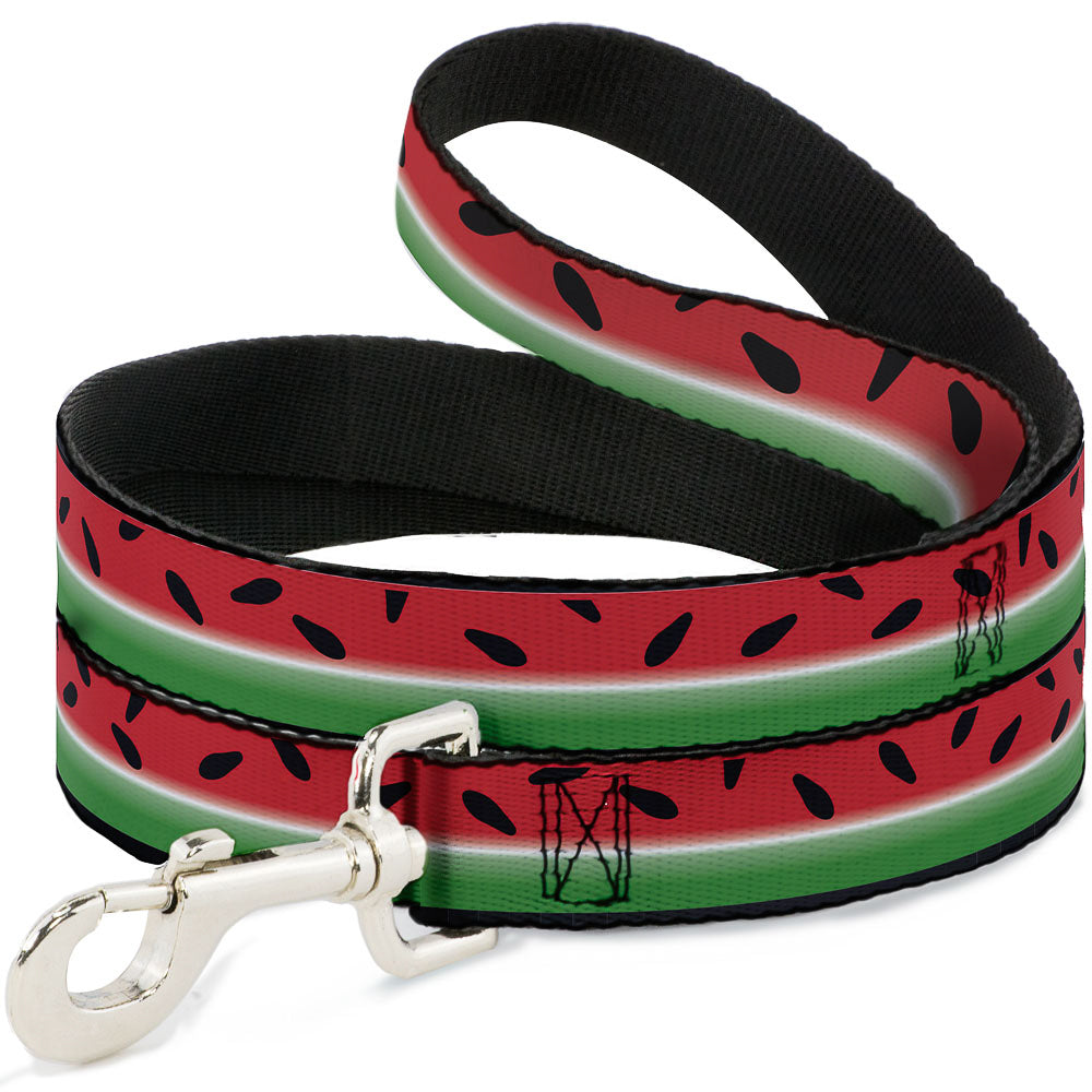 Dog Leash - Watermelon Stripe Red/Green/Black Dog Leashes Buckle-Down