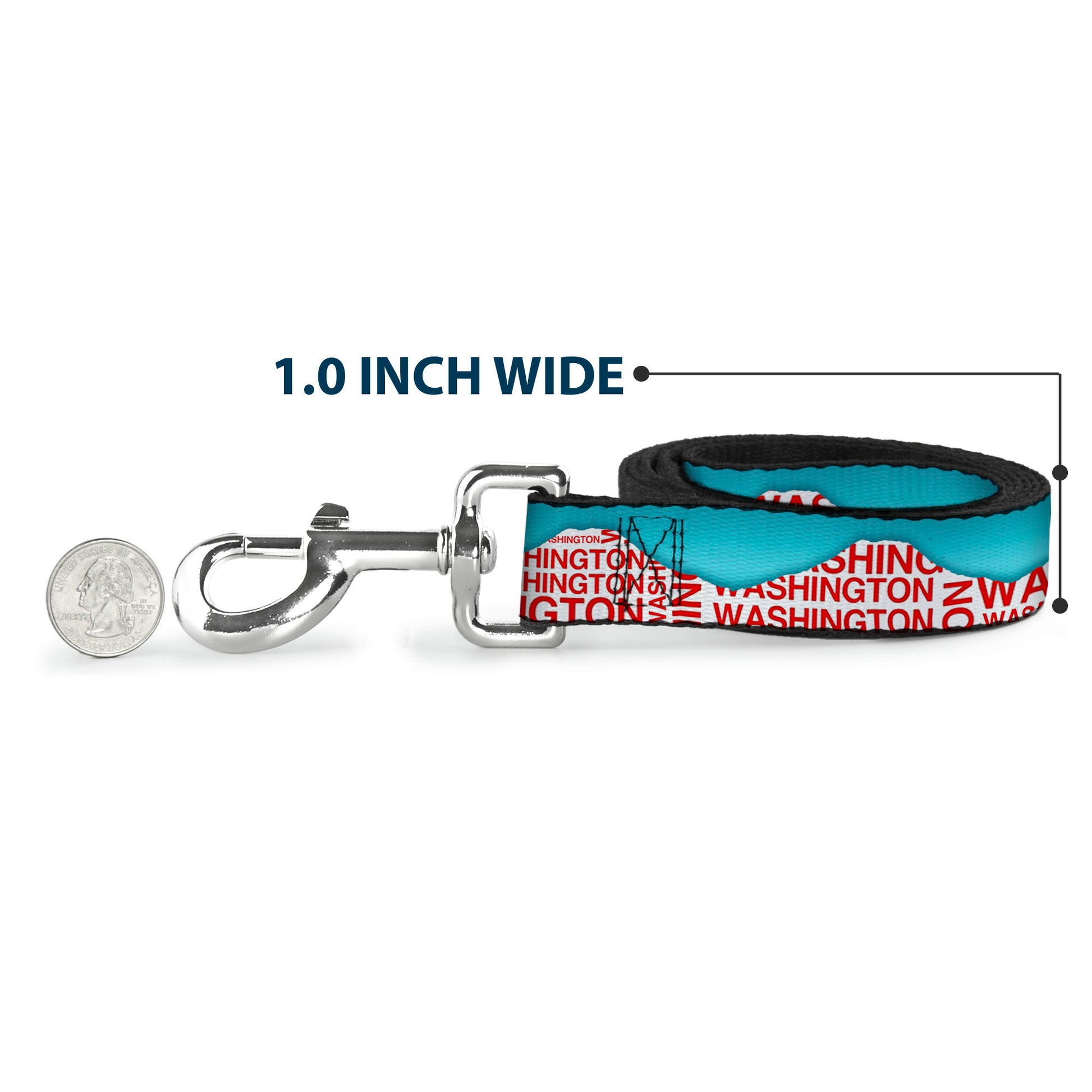 Dog Leash - WASHINGTON Mountain Range Turquoise/White/Red Dog Leashes Buckle-Down
