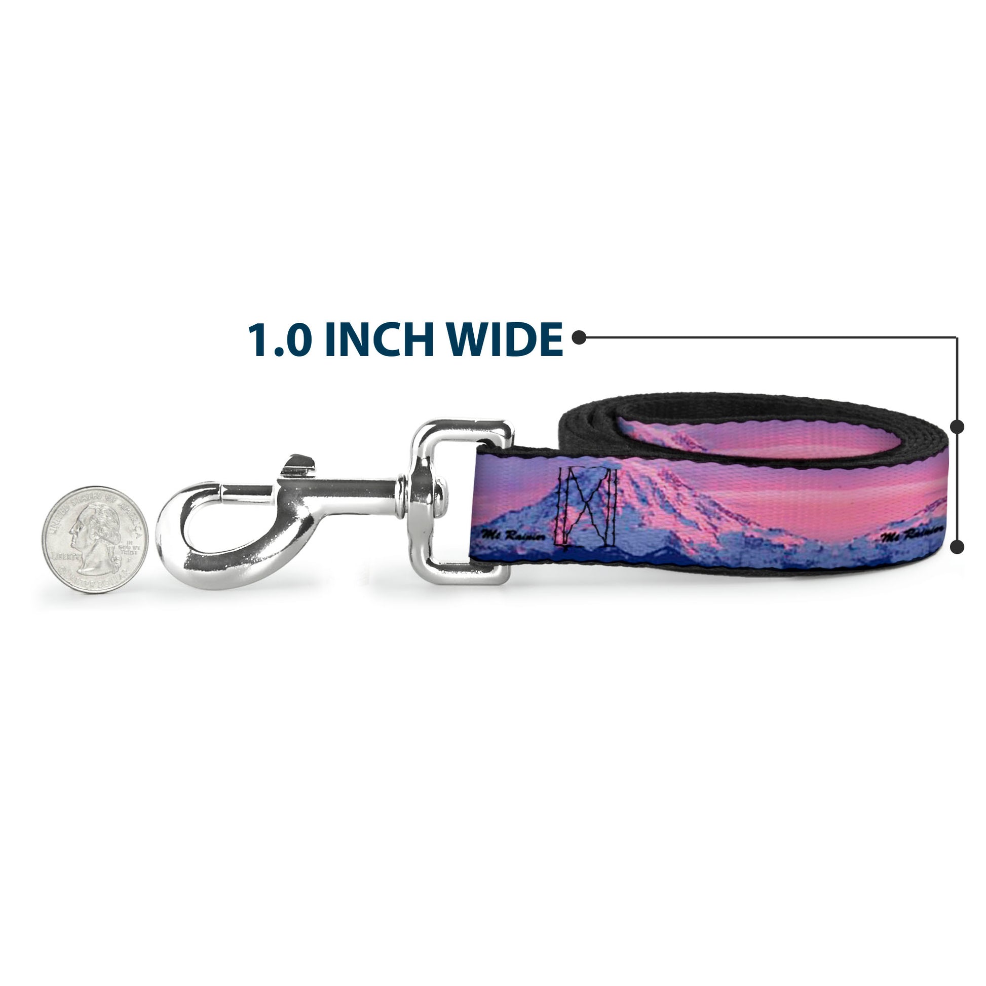 Dog Leash - Washington MT. RAINIER Sunset Landscape Dog Leashes Buckle-Down
