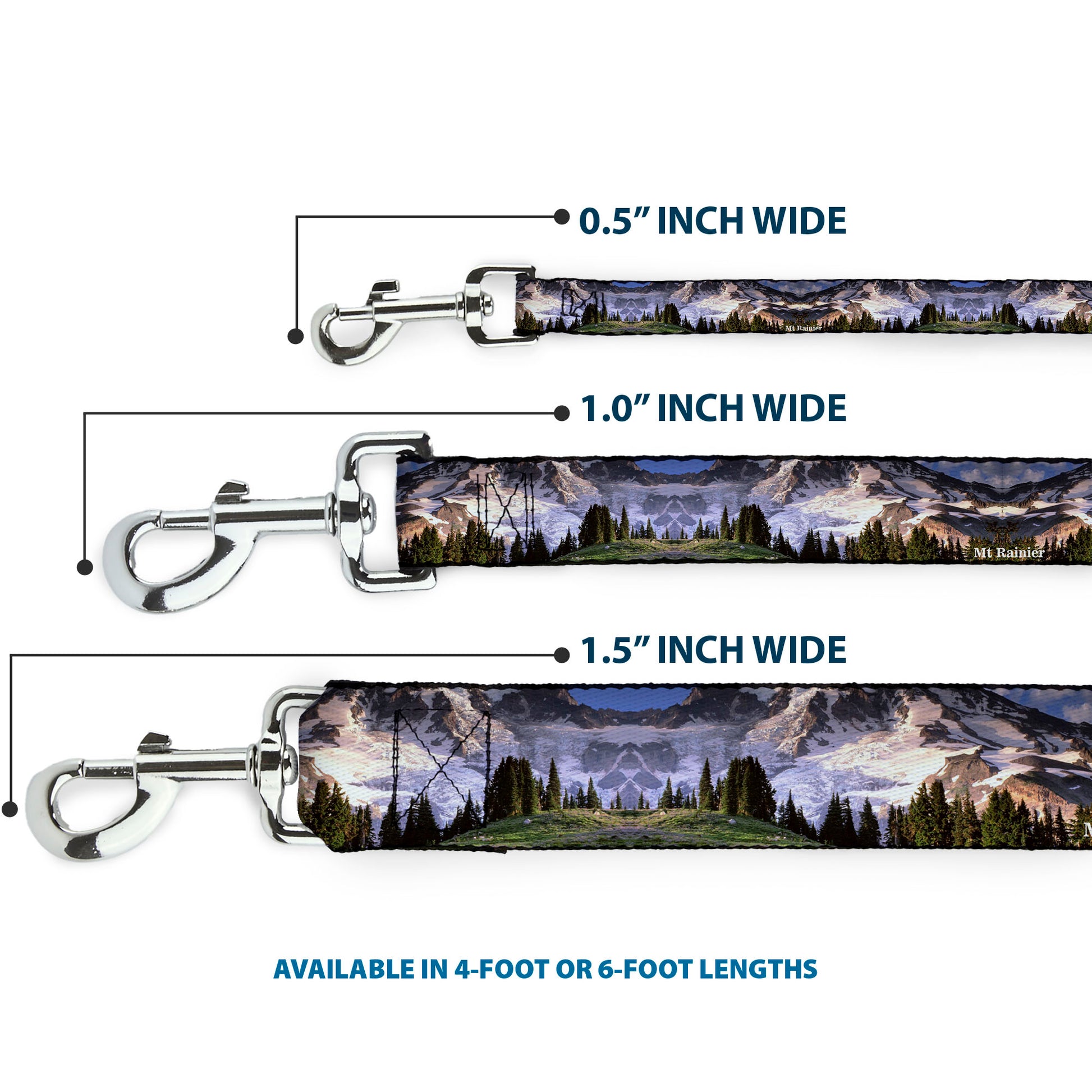Dog Leash - Washington MT. RAINIER Valley Landscape Dog Leashes Buckle-Down