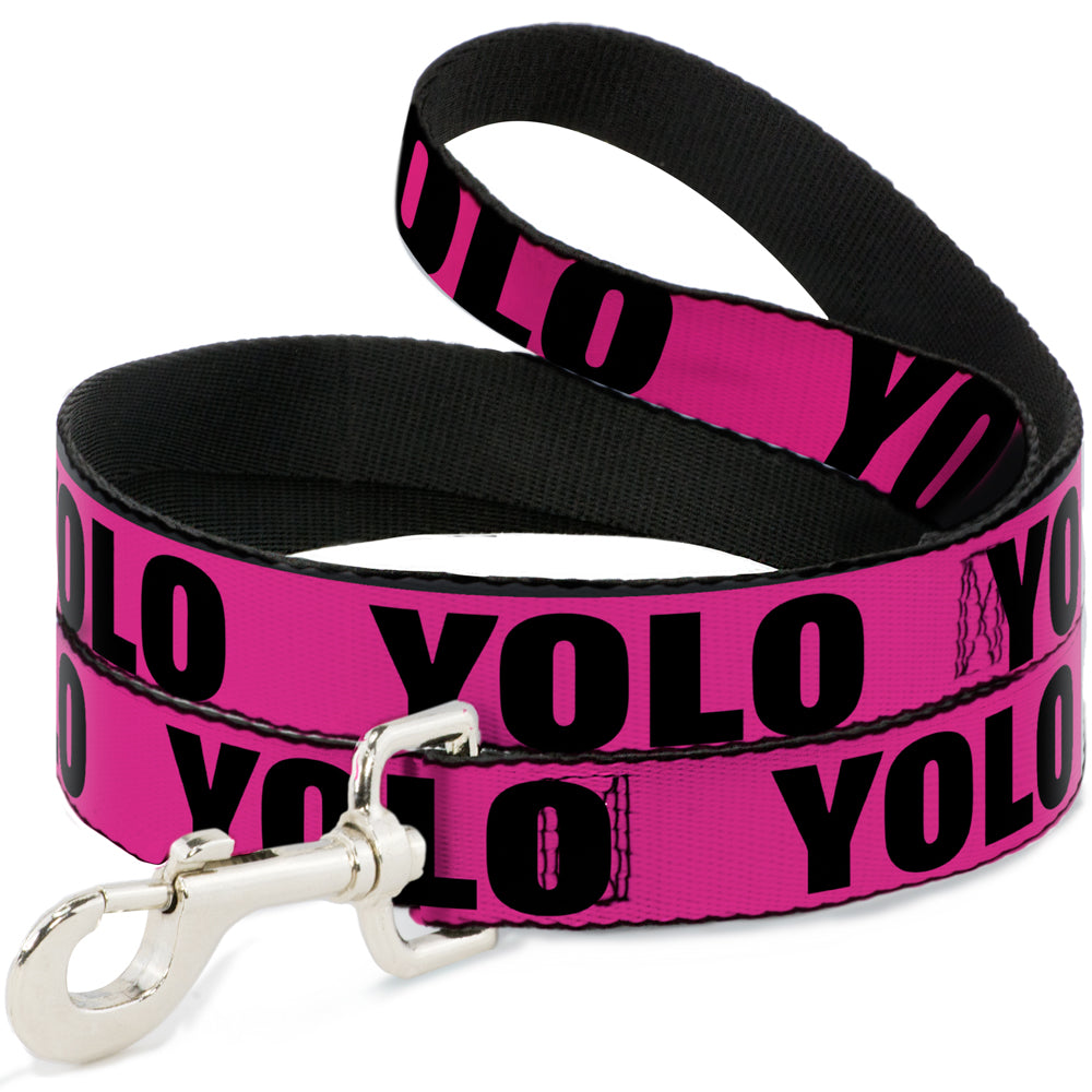 Dog Leash - YOLO Pink/Black Dog Leashes Buckle-Down